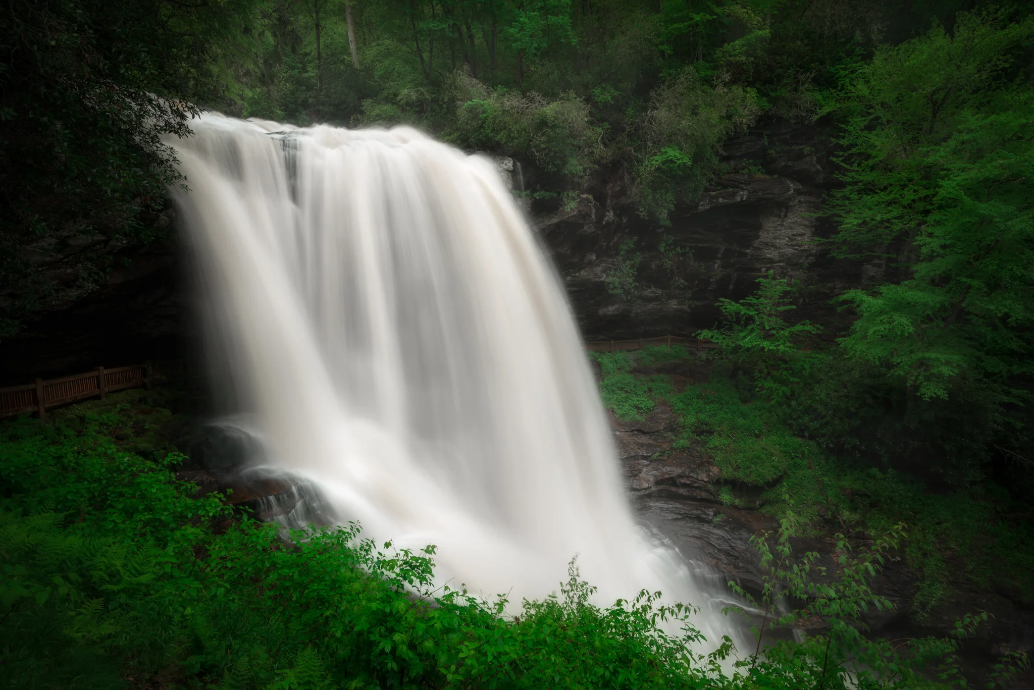 _DSC3989-Edit-2.jpg