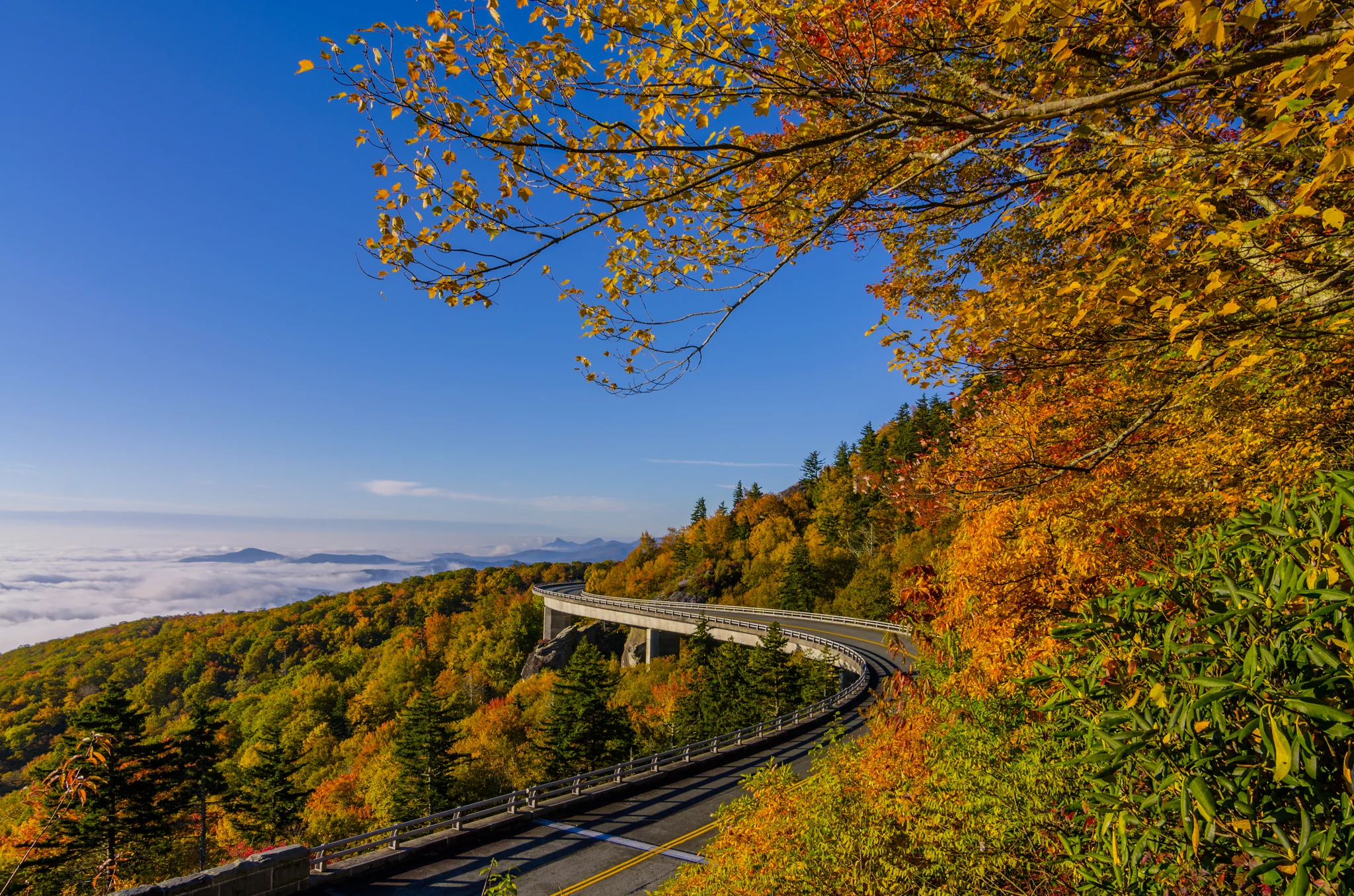 Linn Cove Viaduct