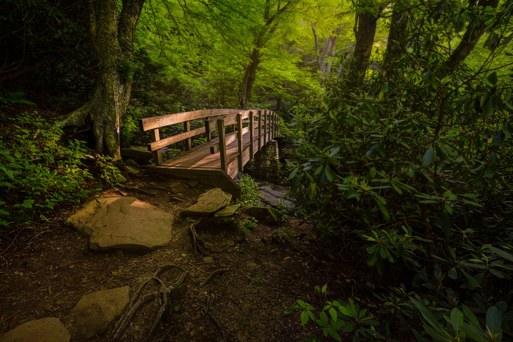 Tanawha Trail View - Blue Ridge Parkway