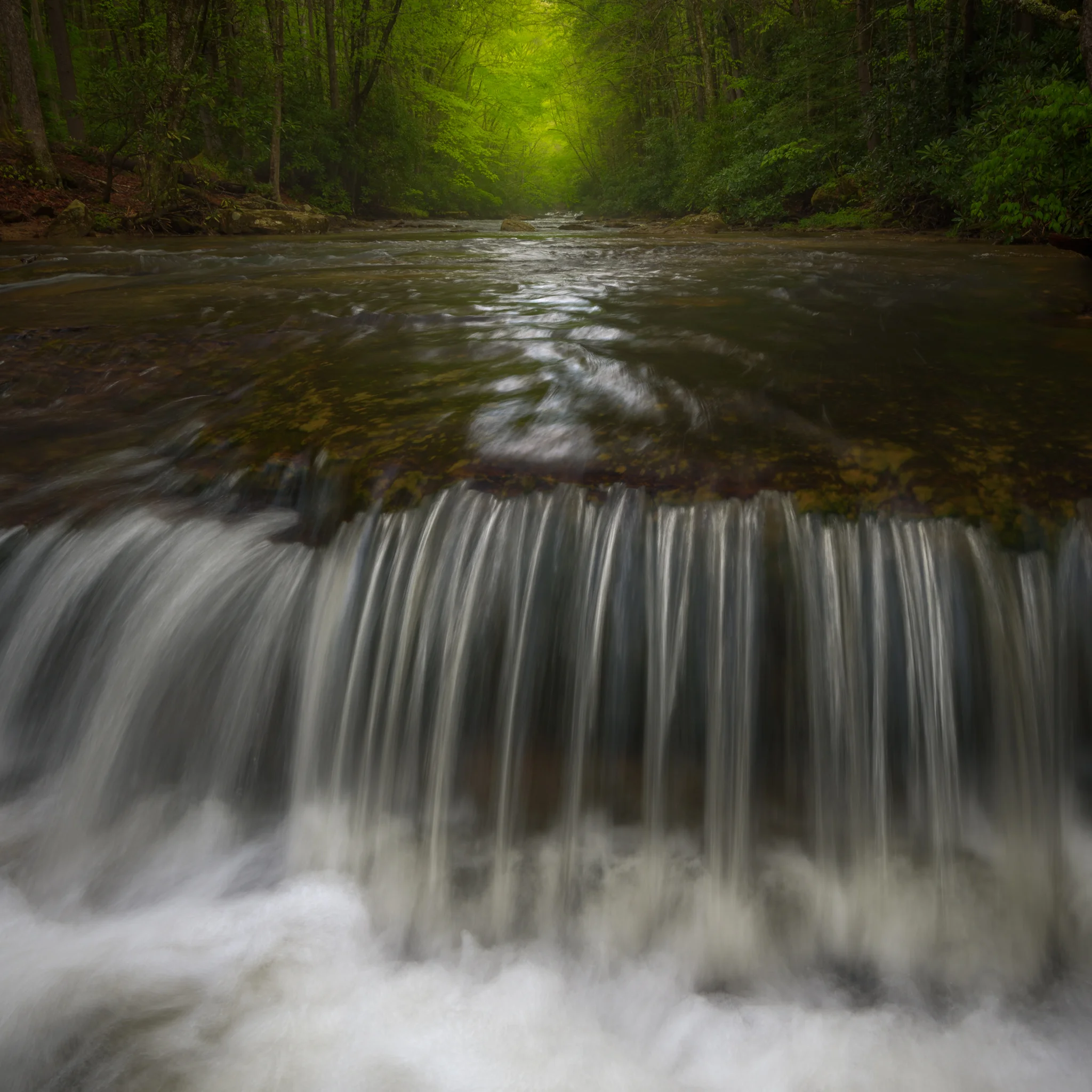 Camp Creek State Park - West Virginia