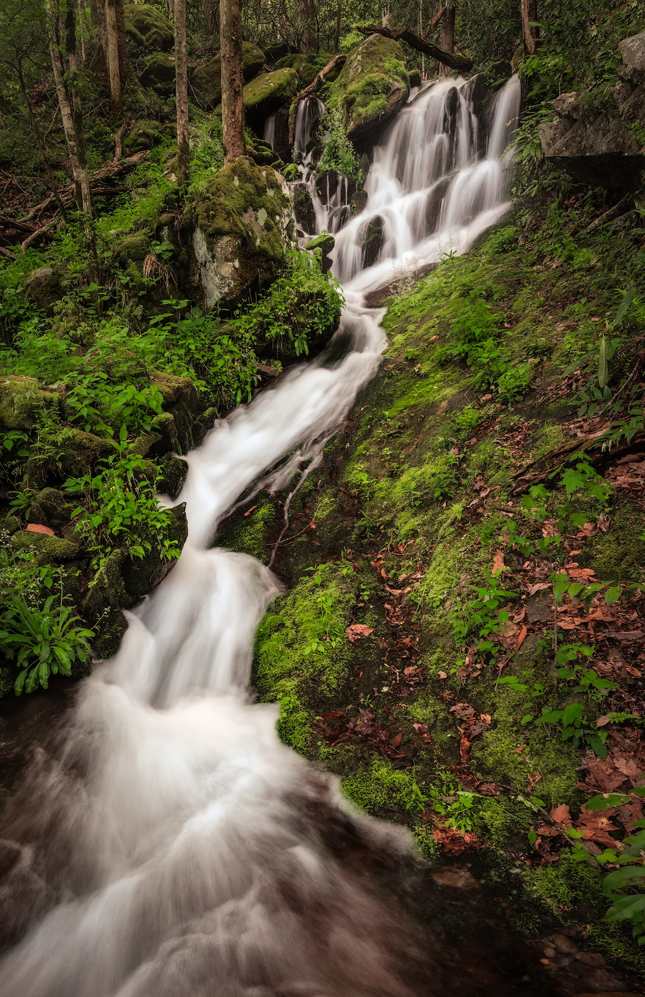 Upper Tremont Road Waterfall