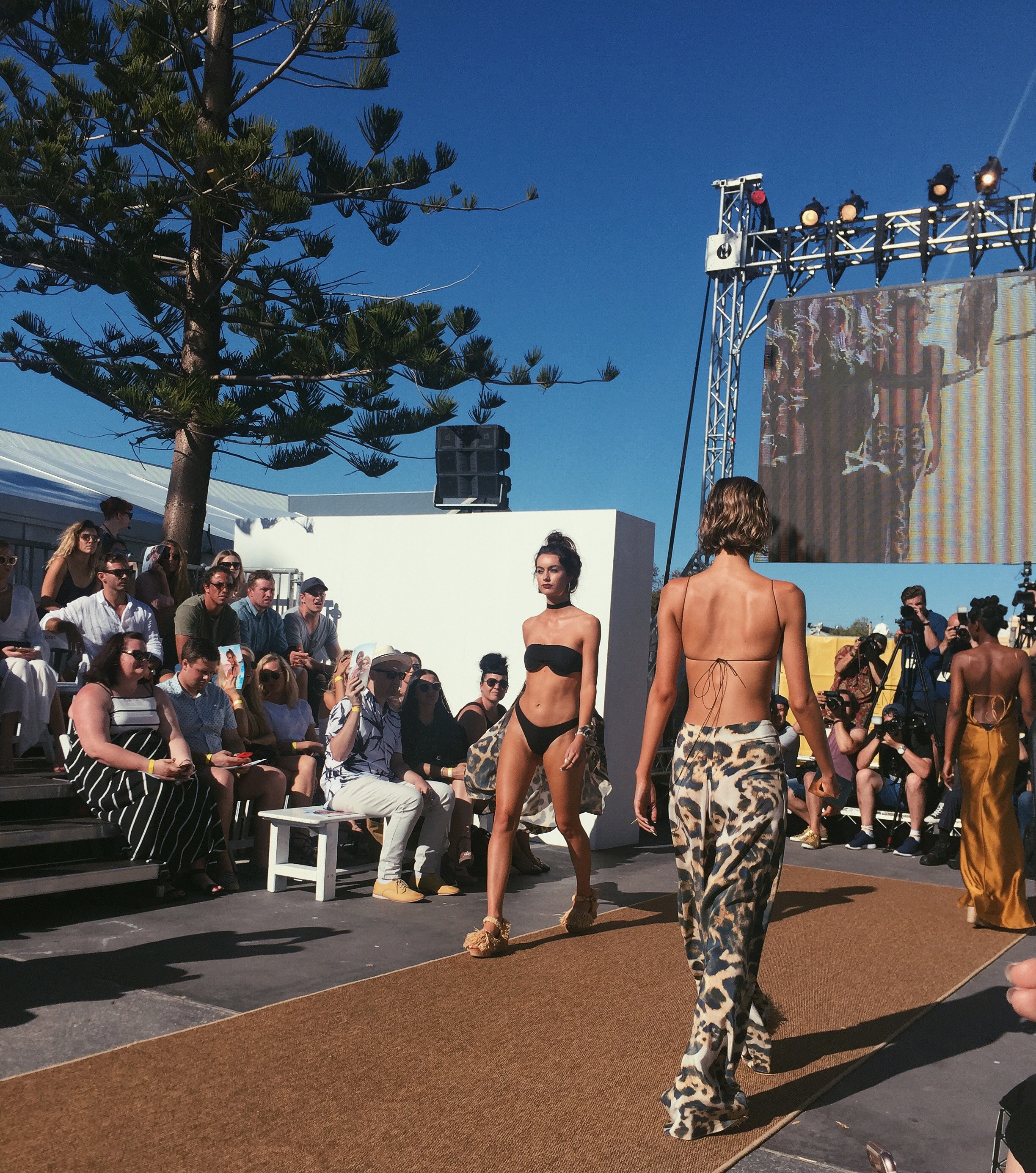 Natalie Rolt Runway #1