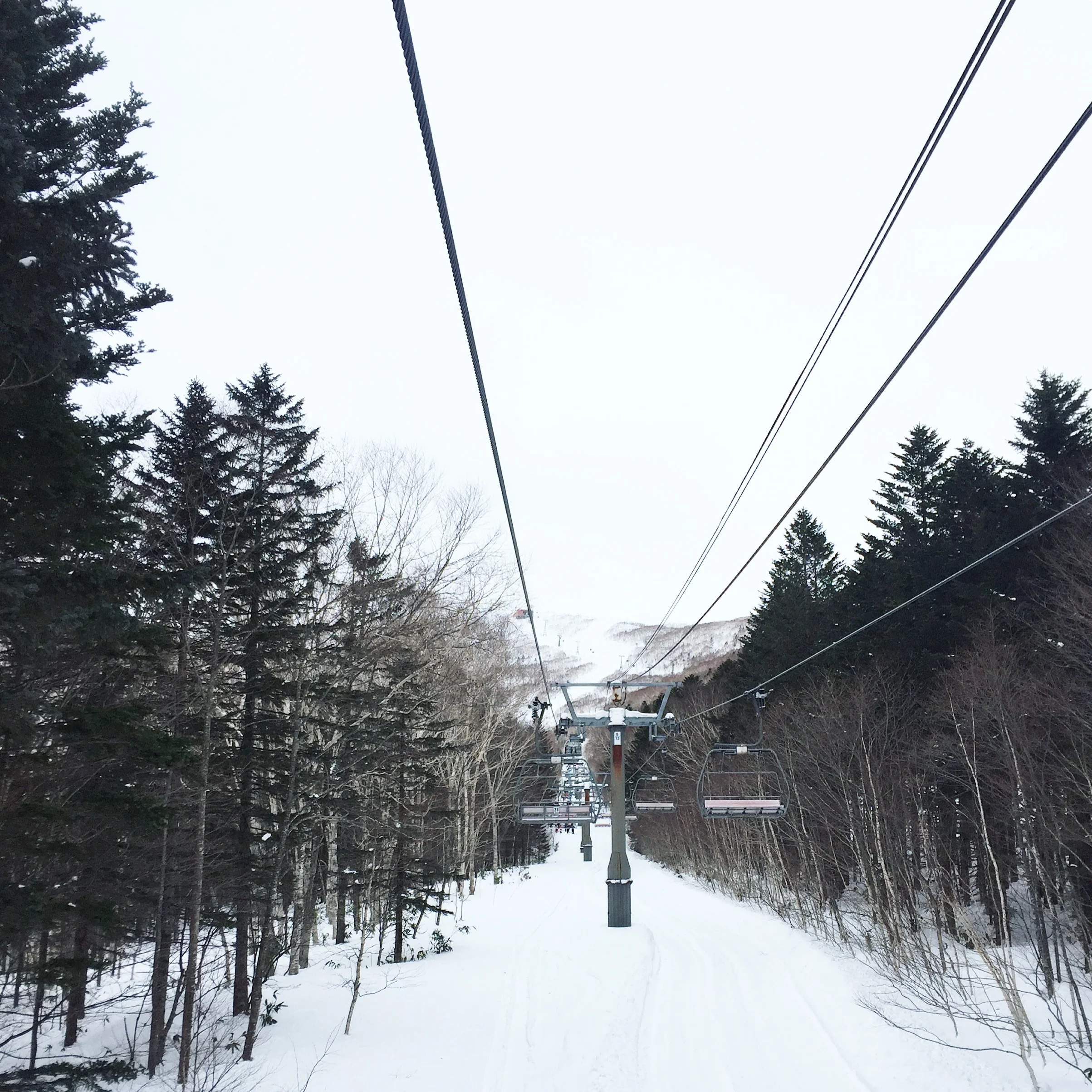 January Update: Location, Japan