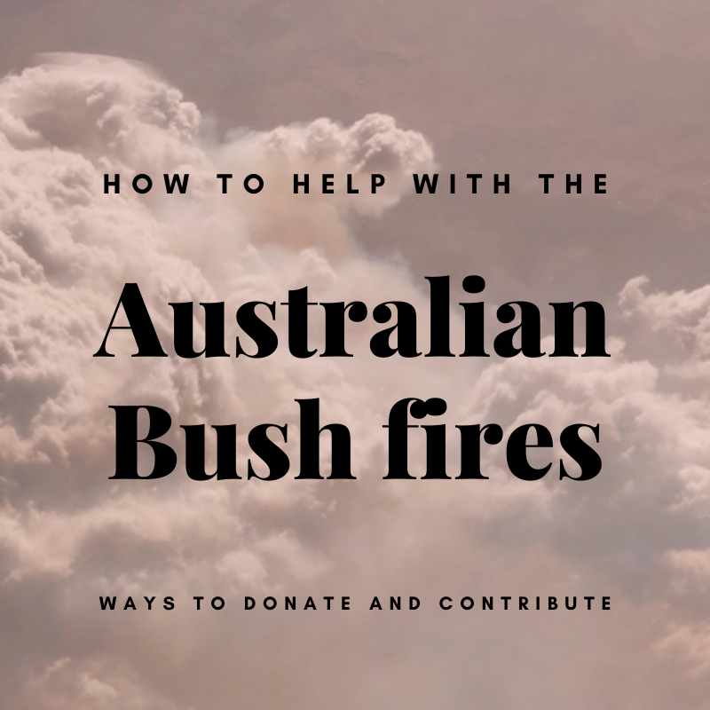 Australian bush fires: 16 Ways to Donate and Help