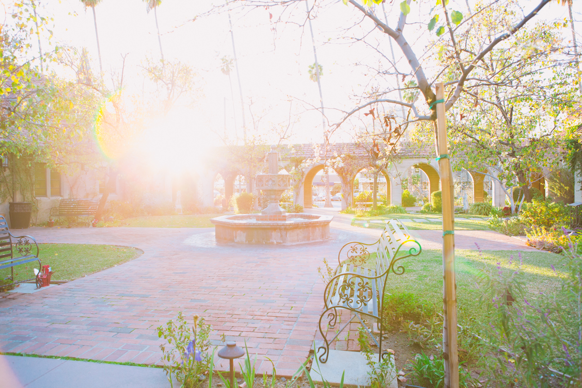 saintmarksgarden.jpg