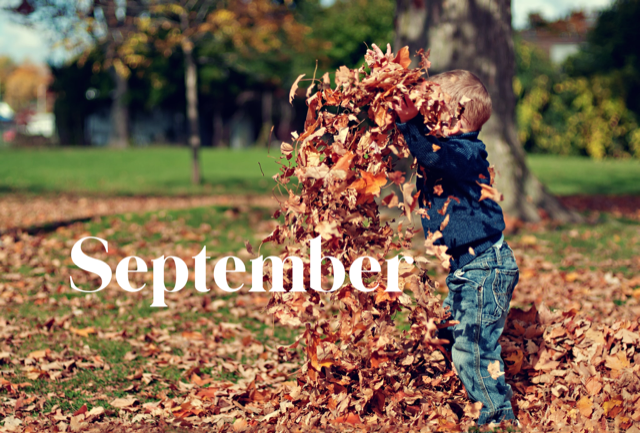 September Monthly Shorts - How Comparison Will Get in Your Way and Letting Go