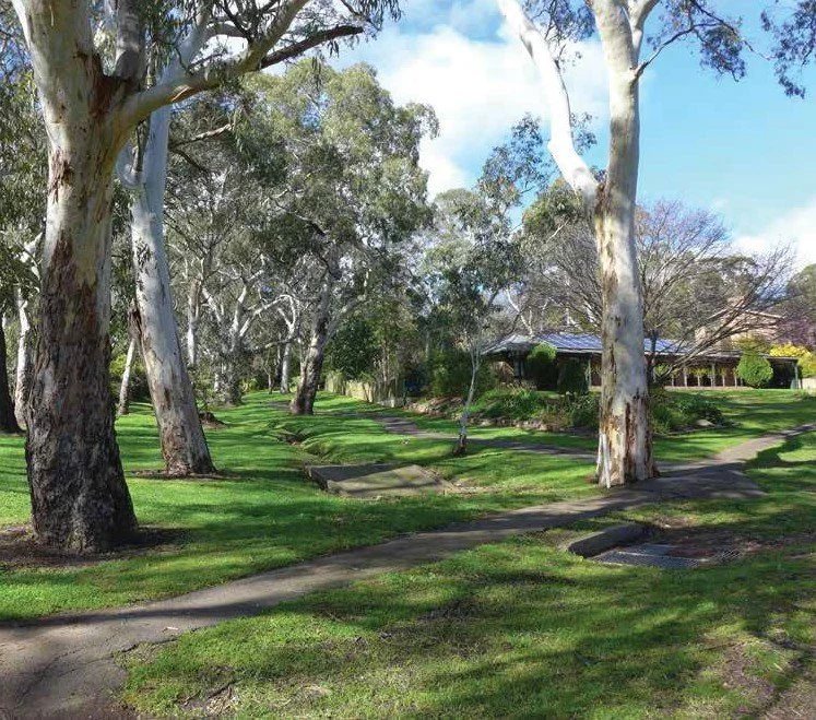 Craigburnimage (002).jpg