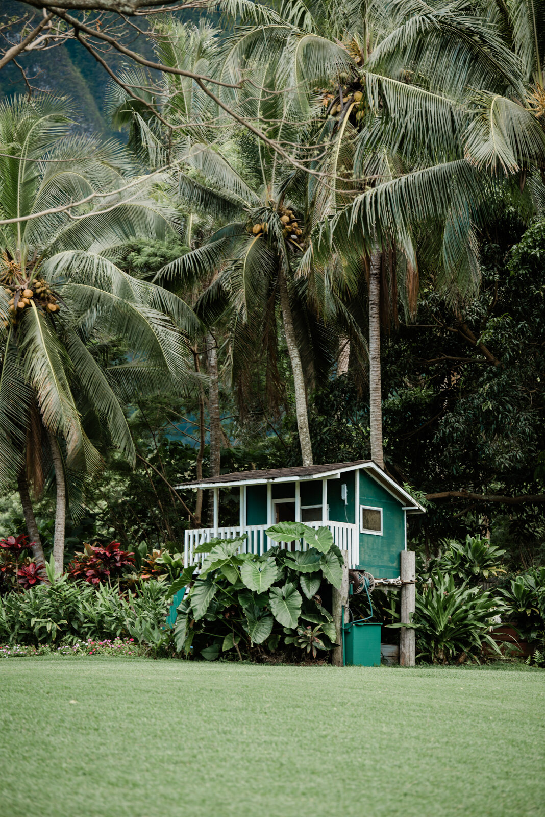 Oahu Photographs (2).jpg