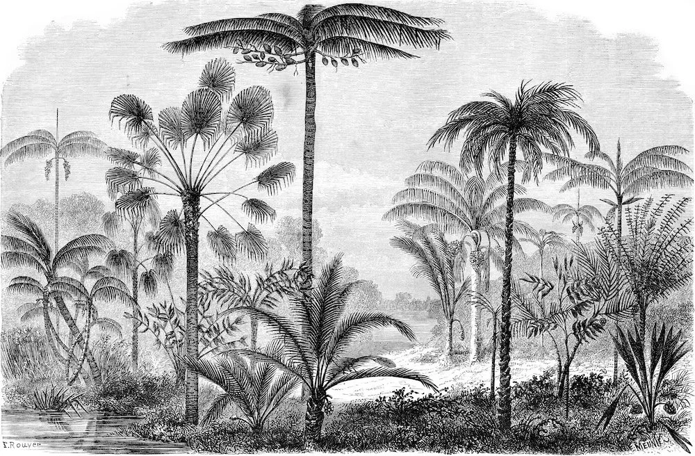 6. shutterstock_218353732 copy.jpg