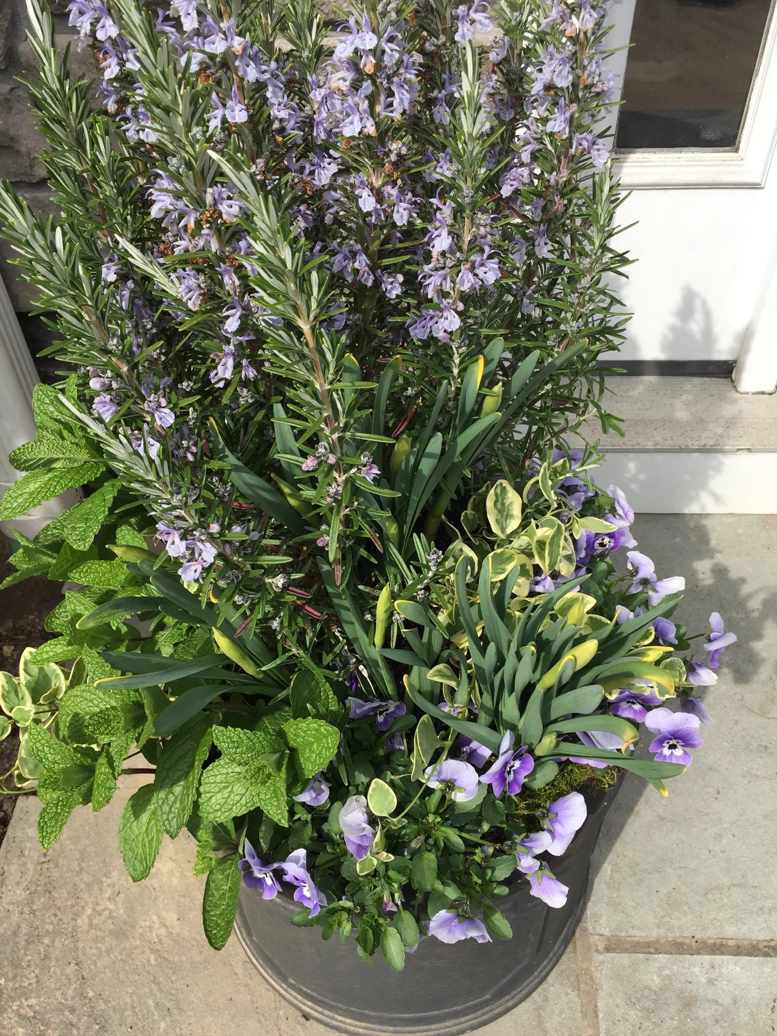 Spring Herbal Planter