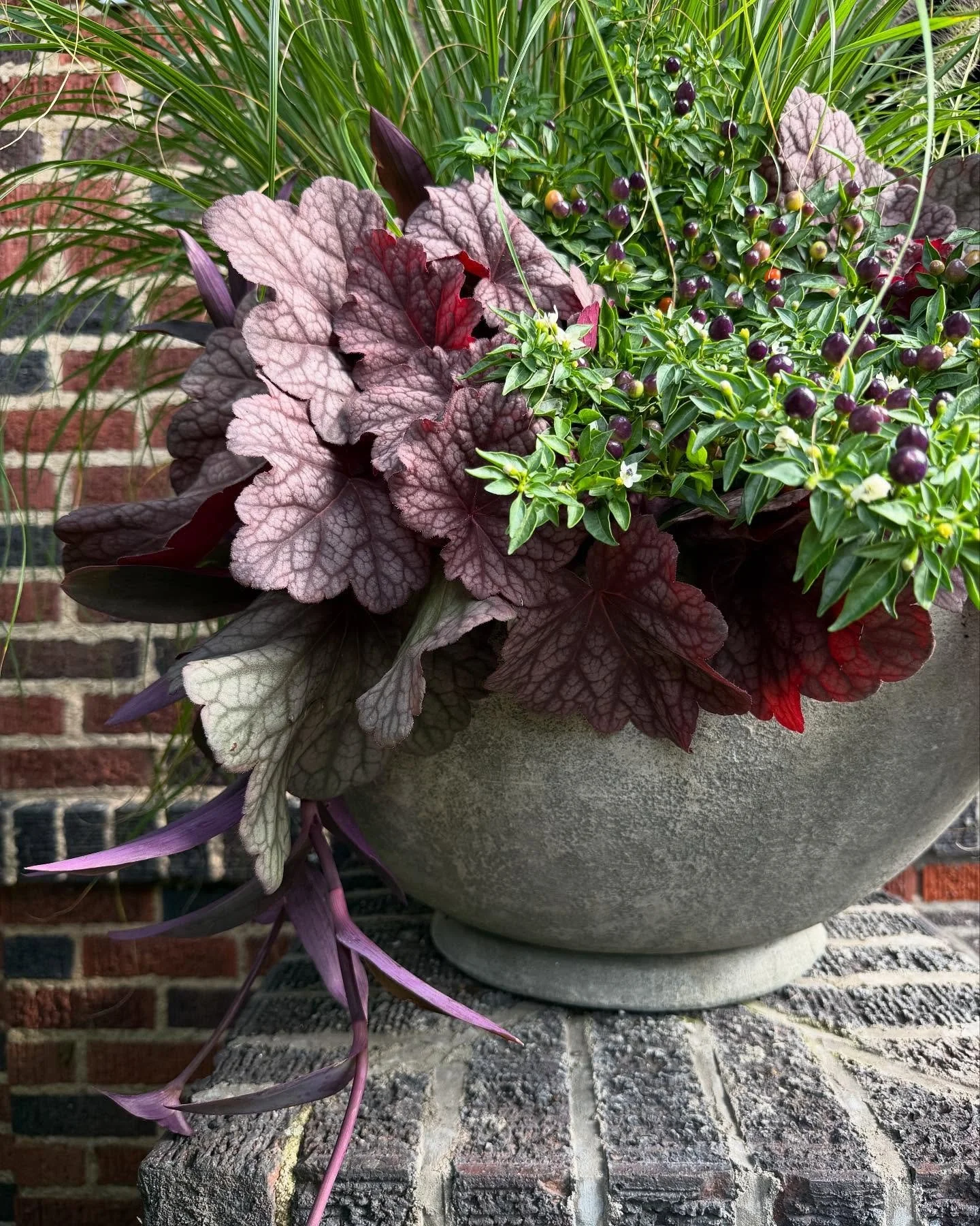 They didn&rsquo;t request just purple, but I decided it so. 💜🔮💫