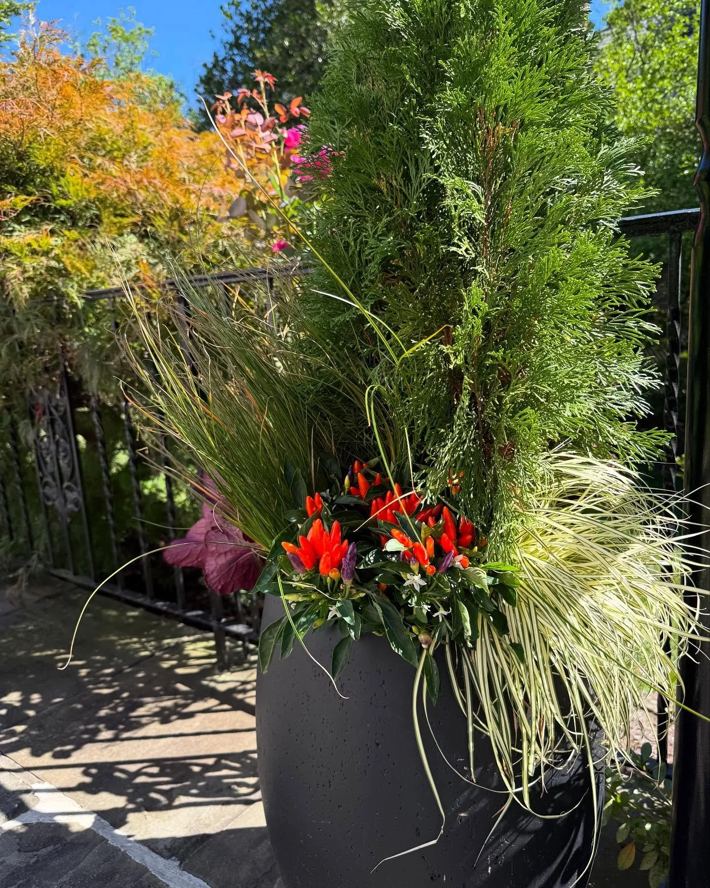 I feel like this is giving big hair and ruffles vibes. And that&rsquo;s just my style. 💃🍂🤘