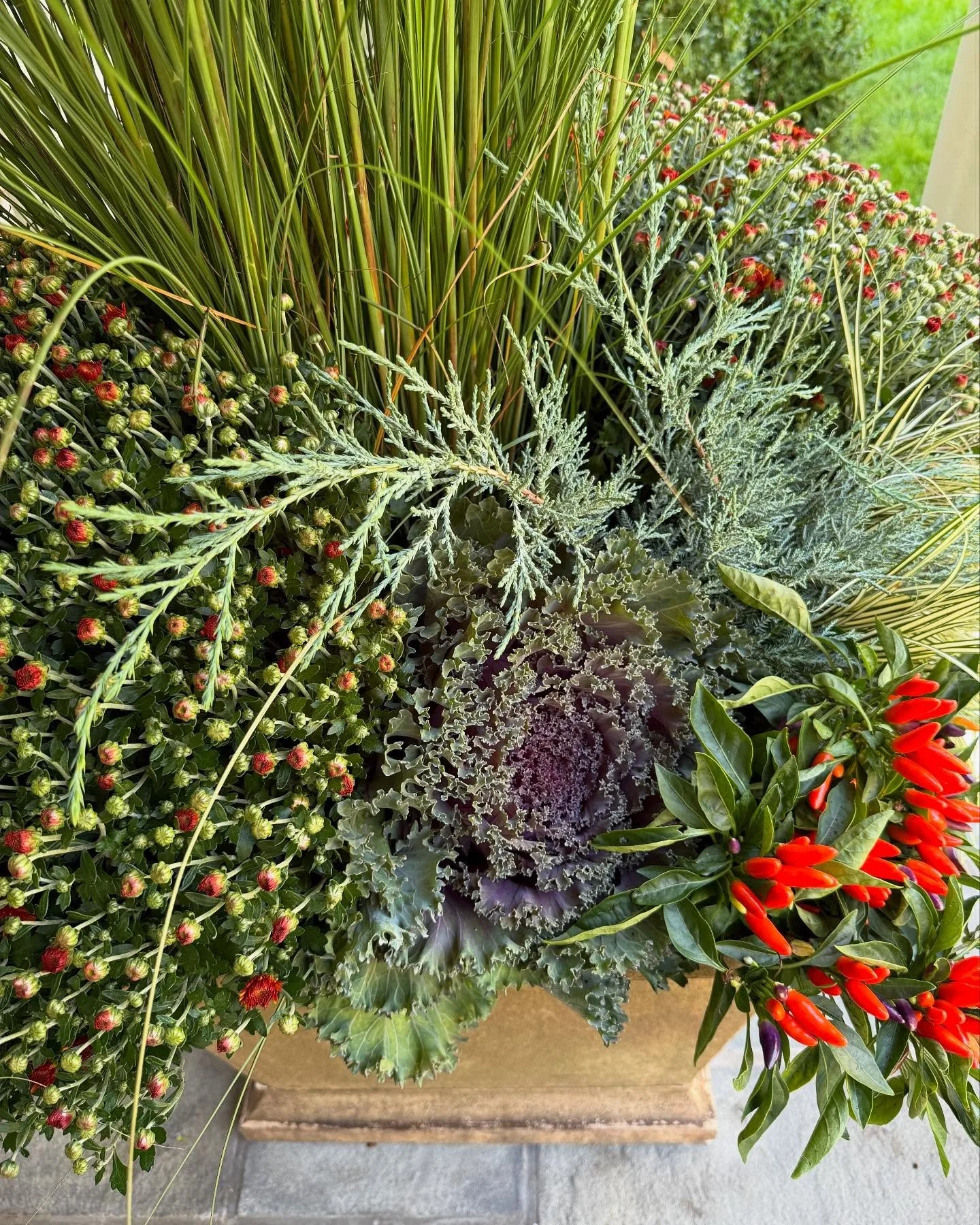 Full pots of fall texture. I love planting for fall. No waiting, instant impact. 💥🍁⚡️