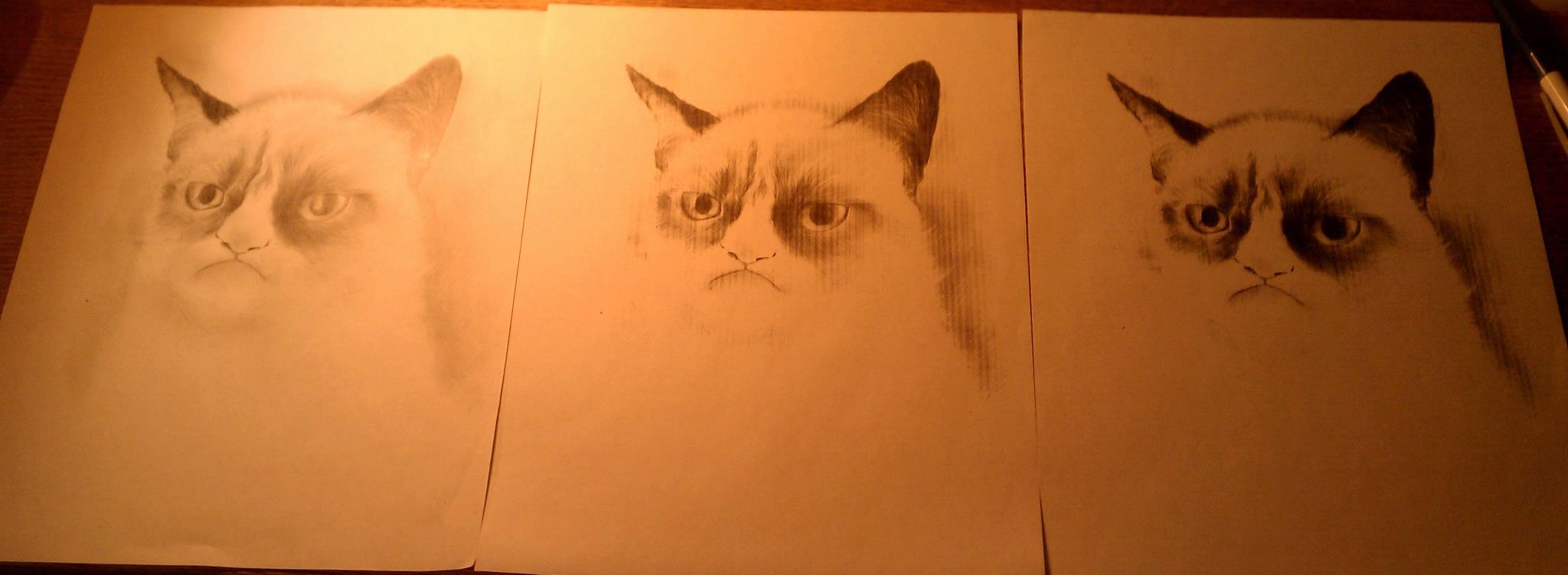Grumpy Cat Series