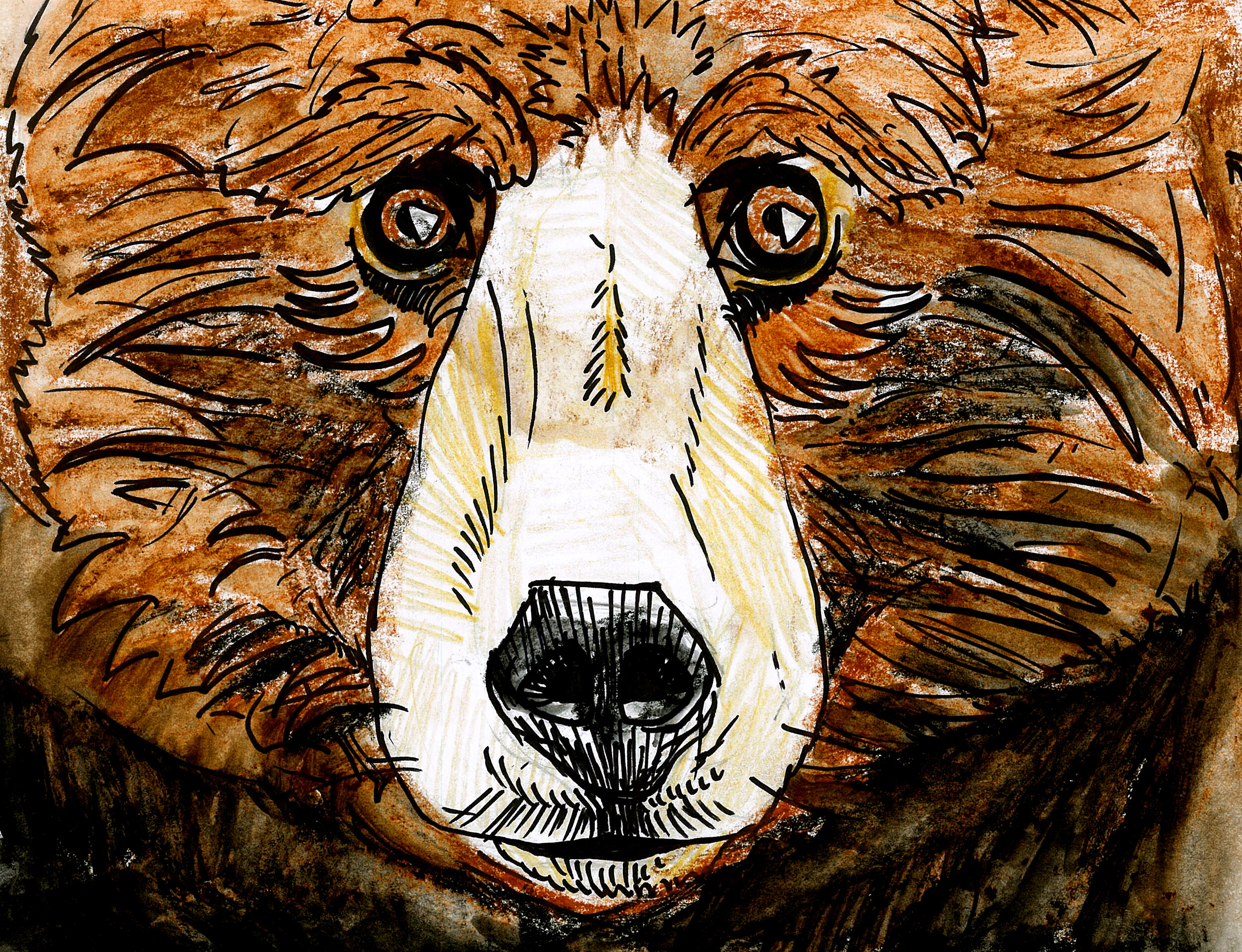 Courtesy of Dav Yendler