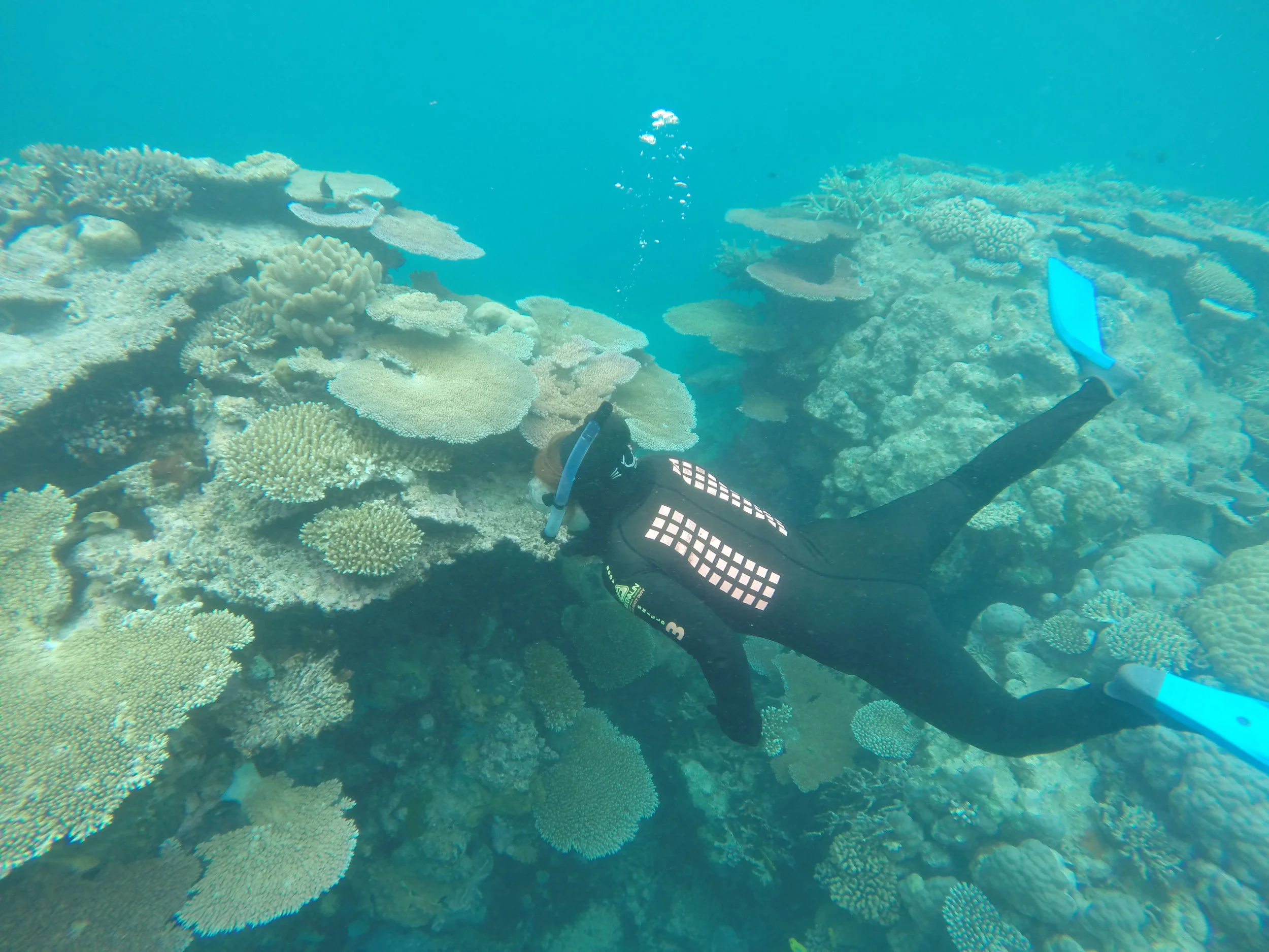 New year, new city, new PhD