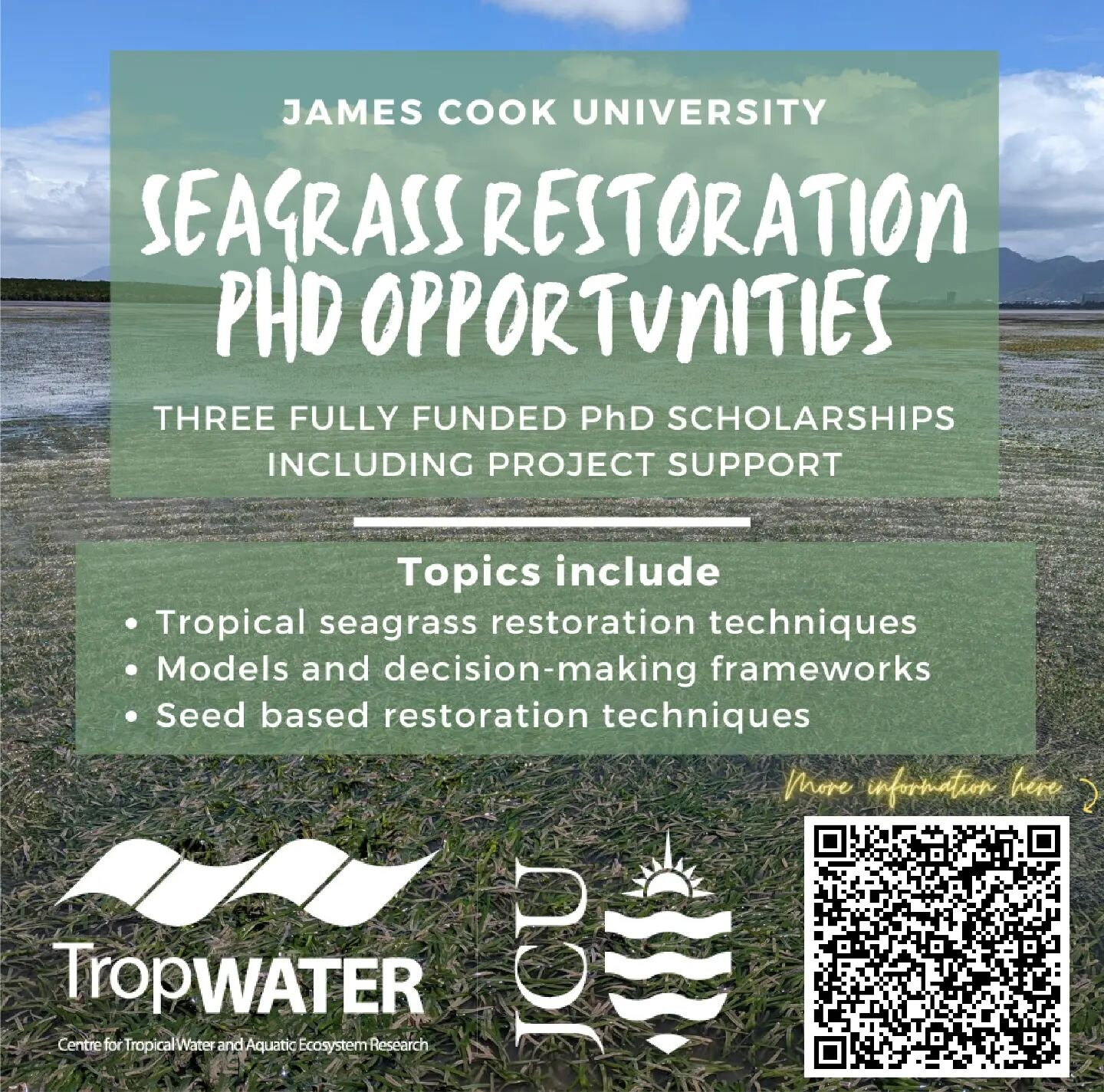 We have some PhD opportunities in our team! If you are interested in seagrass restoration have a look at the web page for more information. Scholarship funding and project funding available for these.

More info here: https://www.jcu.edu.au/graduate-