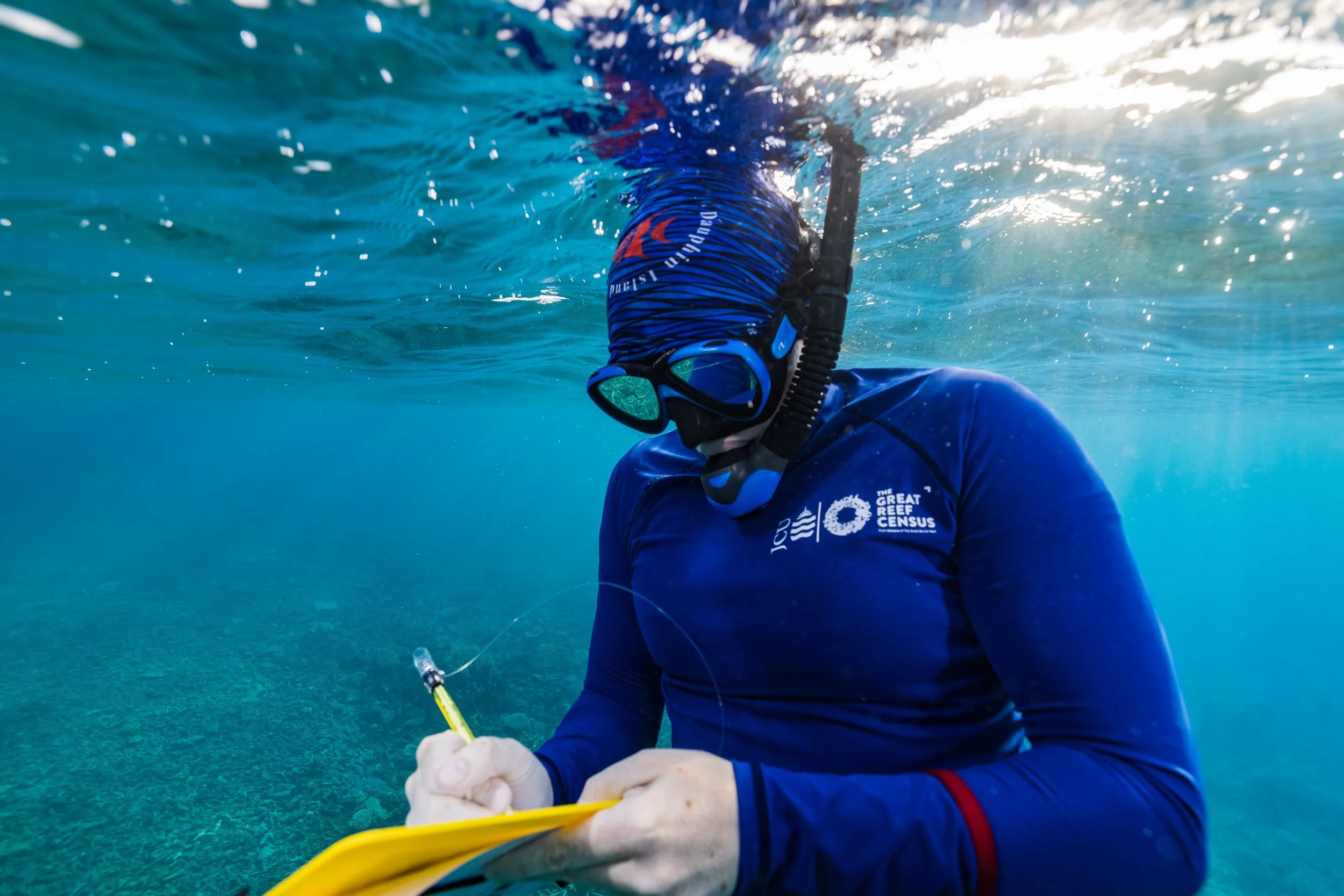 Collecting data for the Great Reef Census