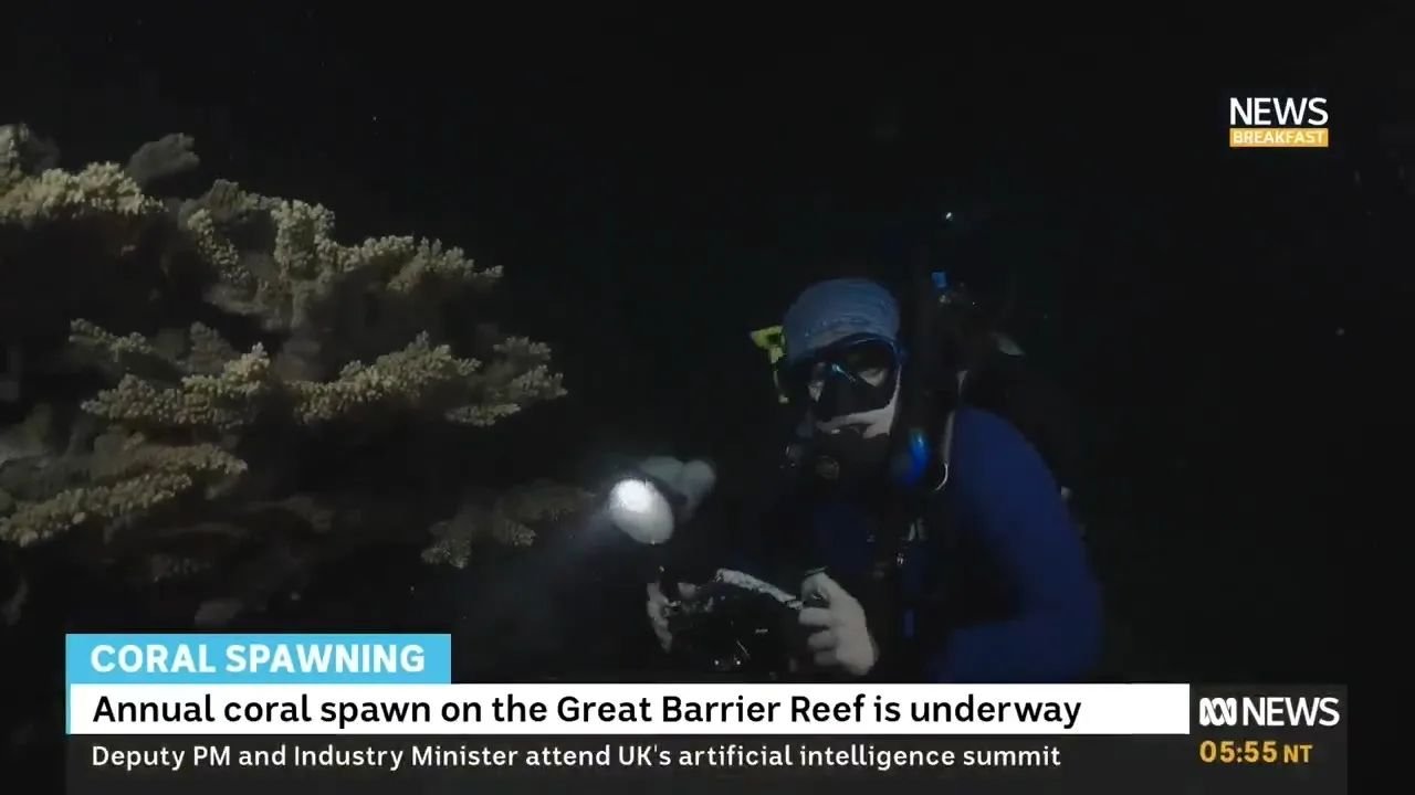 Chatting coral spawning on ABC breakfast!

It was great to be out on Moore Reef for this year's coral spawning and very cool to do a live cross from the reef to the ABC breakfast studio.