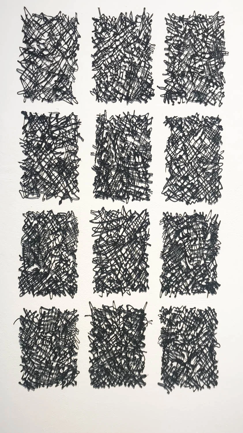 Looking Through - Ann Sutton