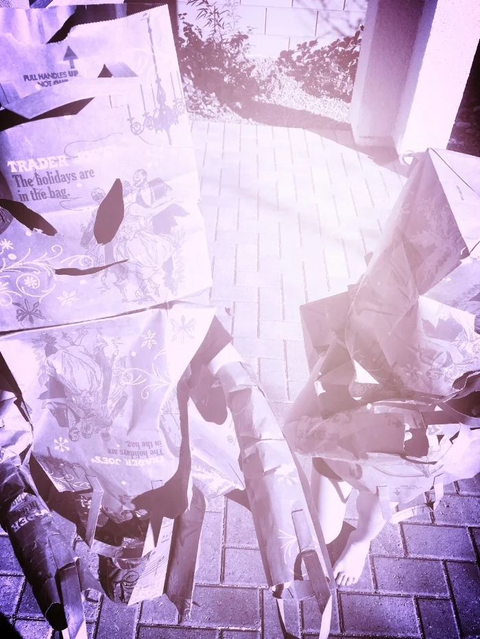 our boys playing in their robot recycled Trader Joe's costumes, their Papa's brilliant creation.