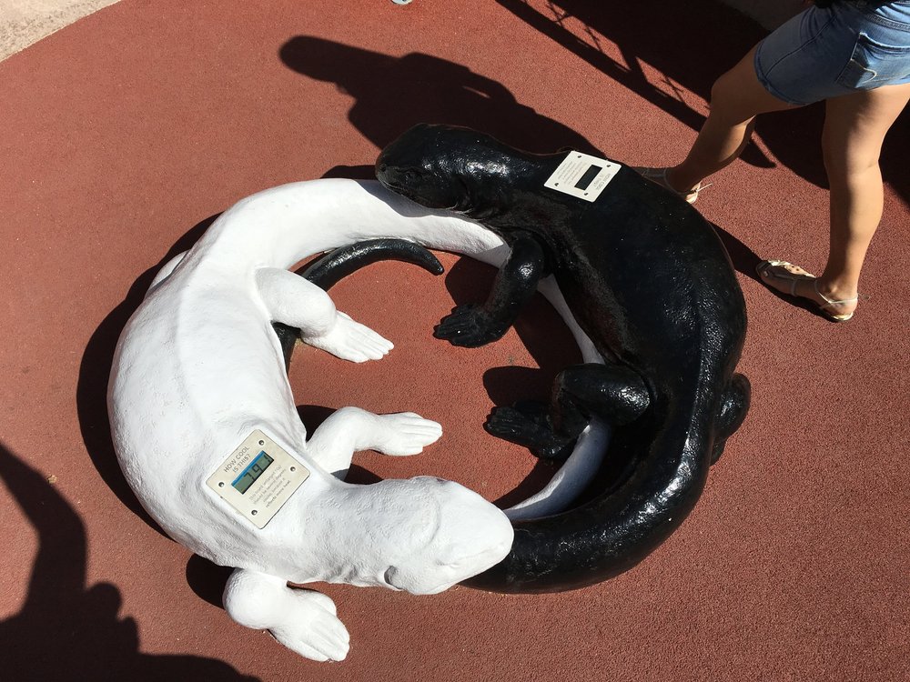  How hot is the white one? &nbsp;How cool is the black one? &nbsp;Not very. &nbsp;View the opposites. &nbsp;Hey desert dwellers...wear white in the summer! 