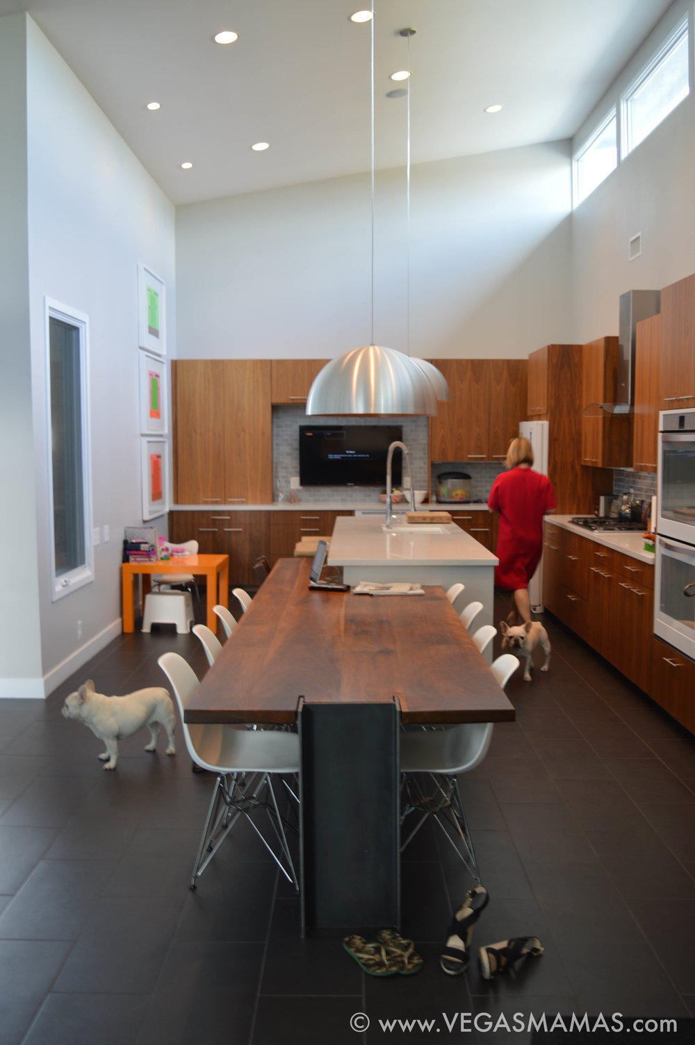 A woman in her kitchen with her bow-wowsters.