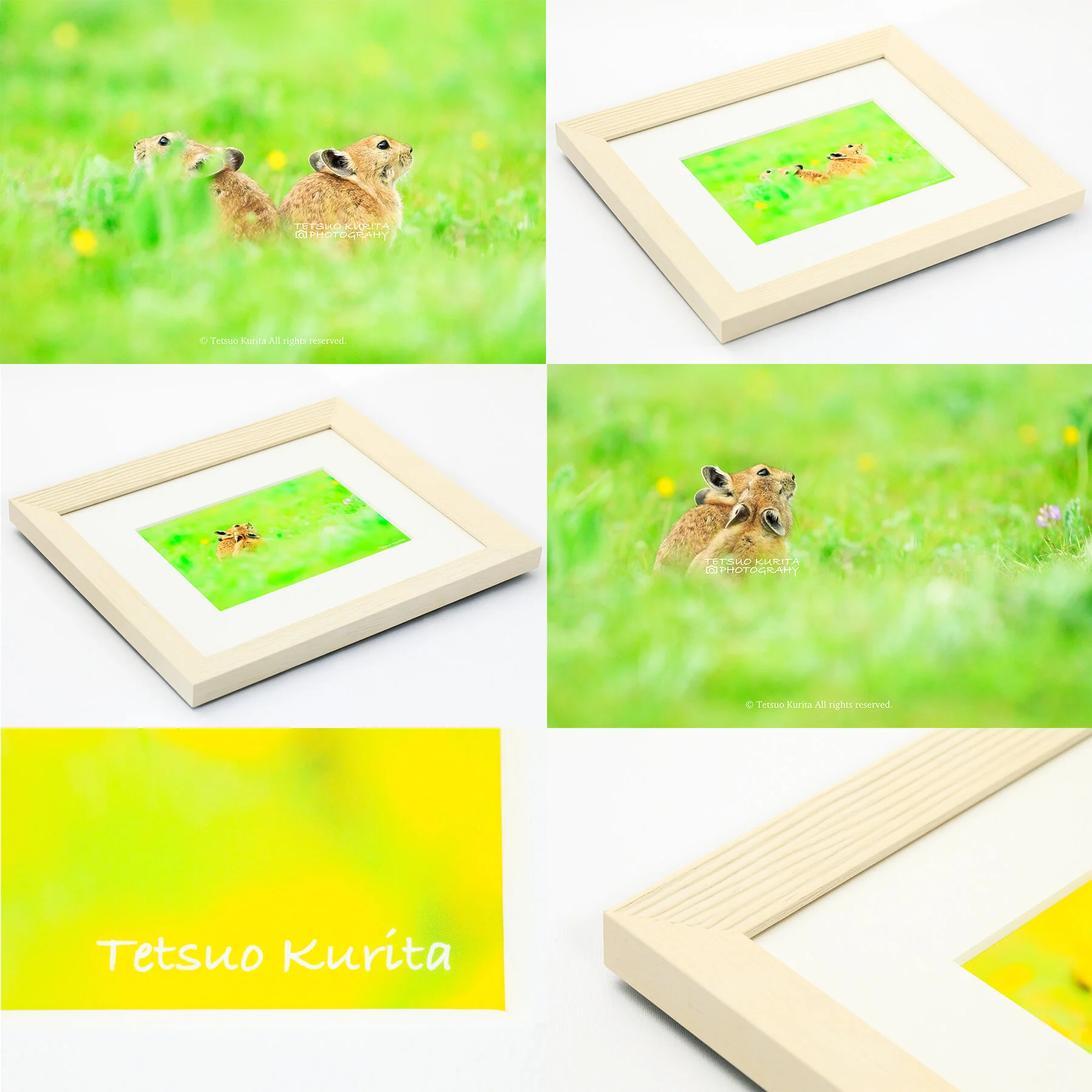 ※実際の商品にはコピーライト表示などはありません。上記写真左最下段のネームのみです。