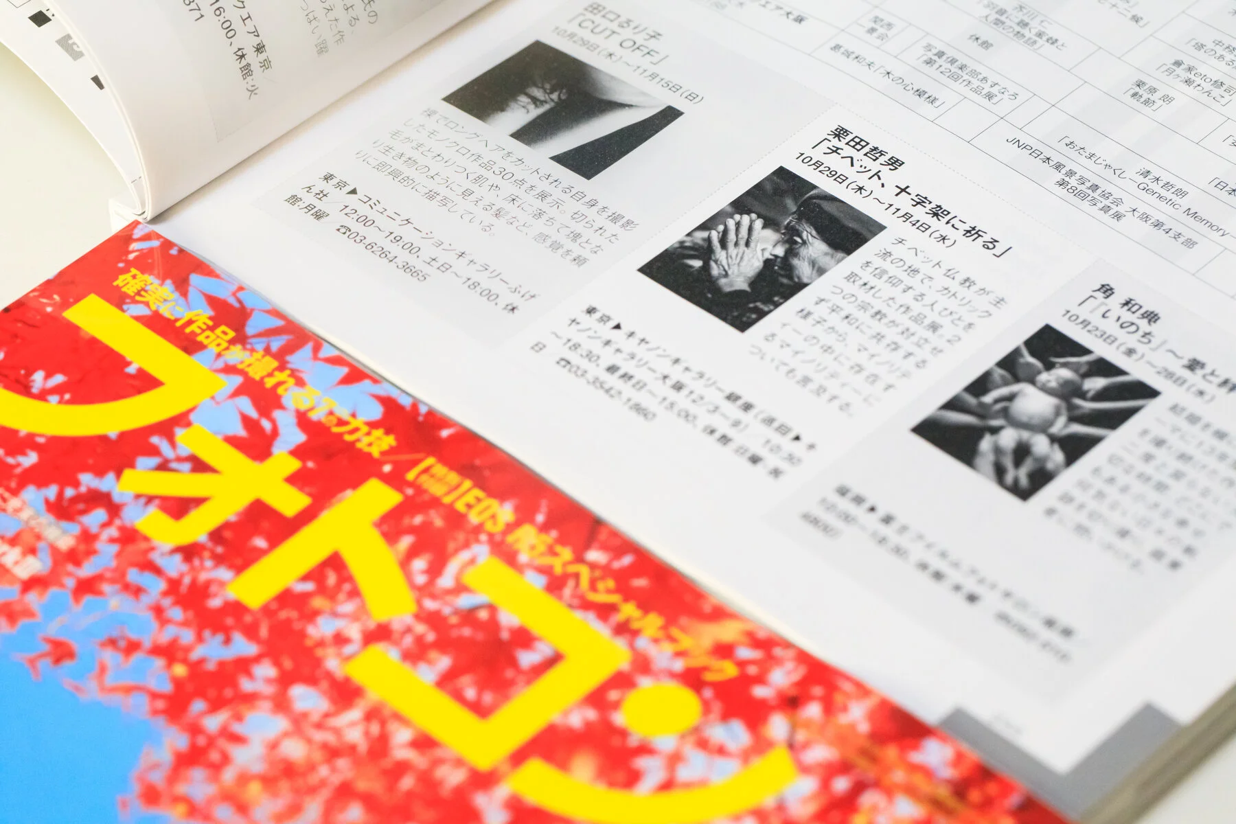 TetsuoKurita_Blog20201022.jpg