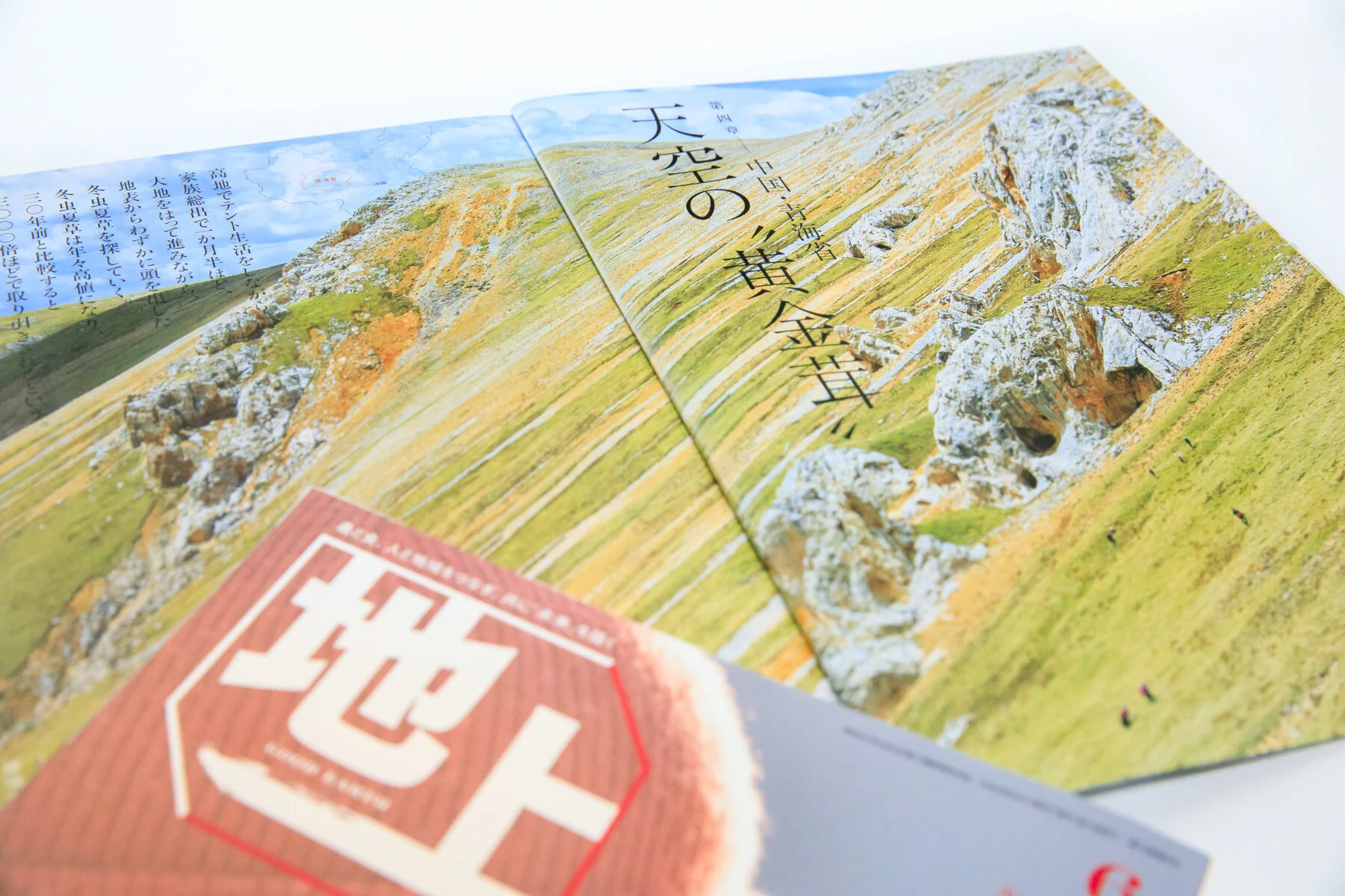 TetsuoKurita_Blog20210508.jpg