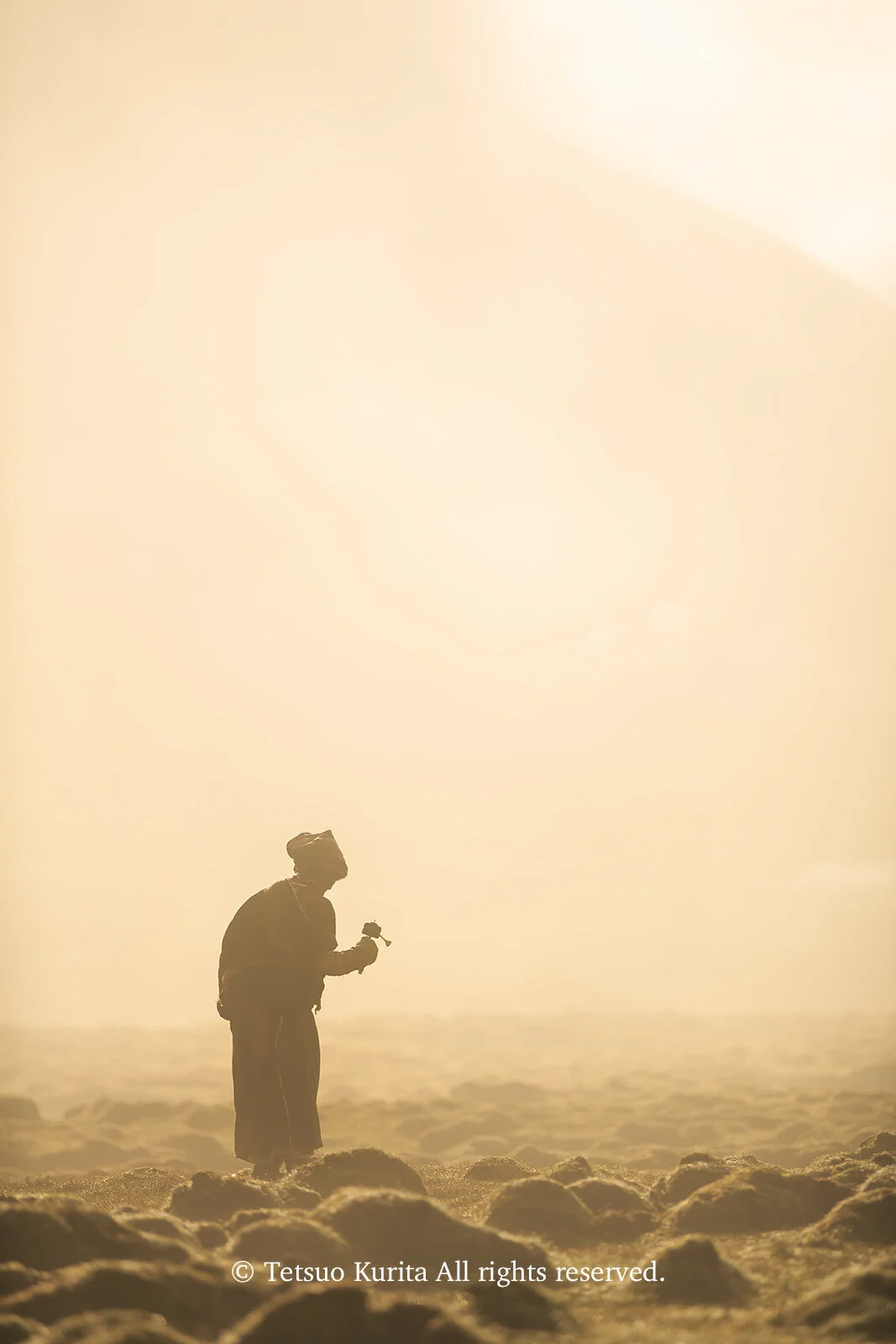 Transmigration