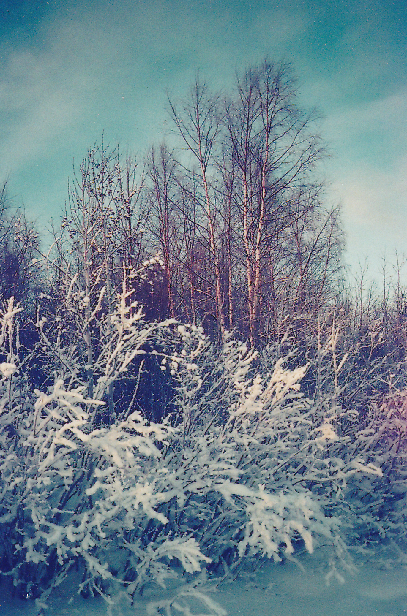 neige couleur.png