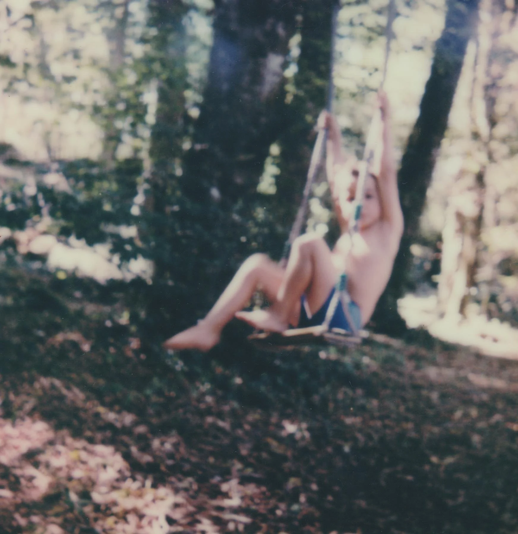 foret et balancoire.jpg