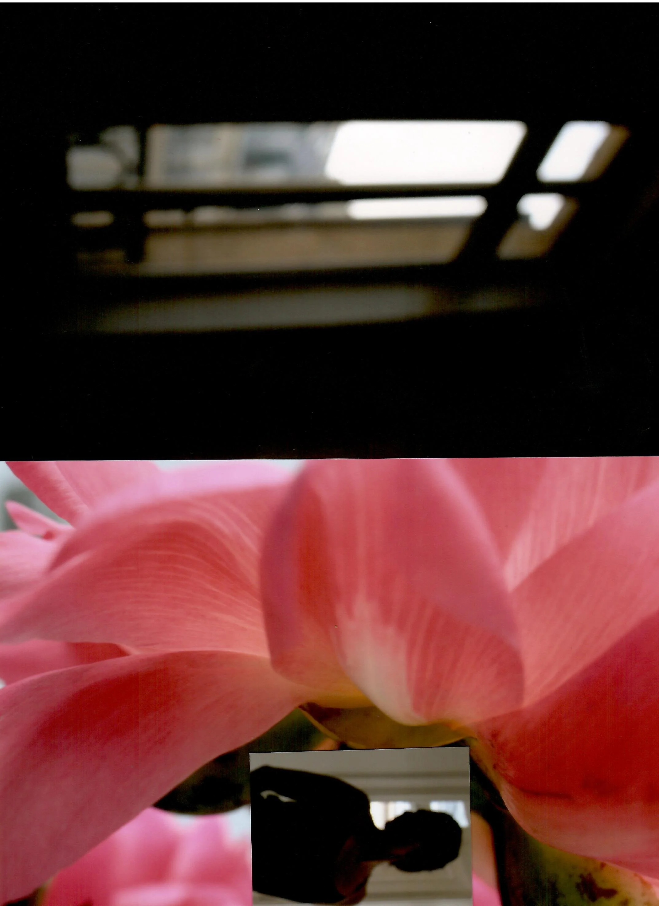 image fenetre et regard.jpeg