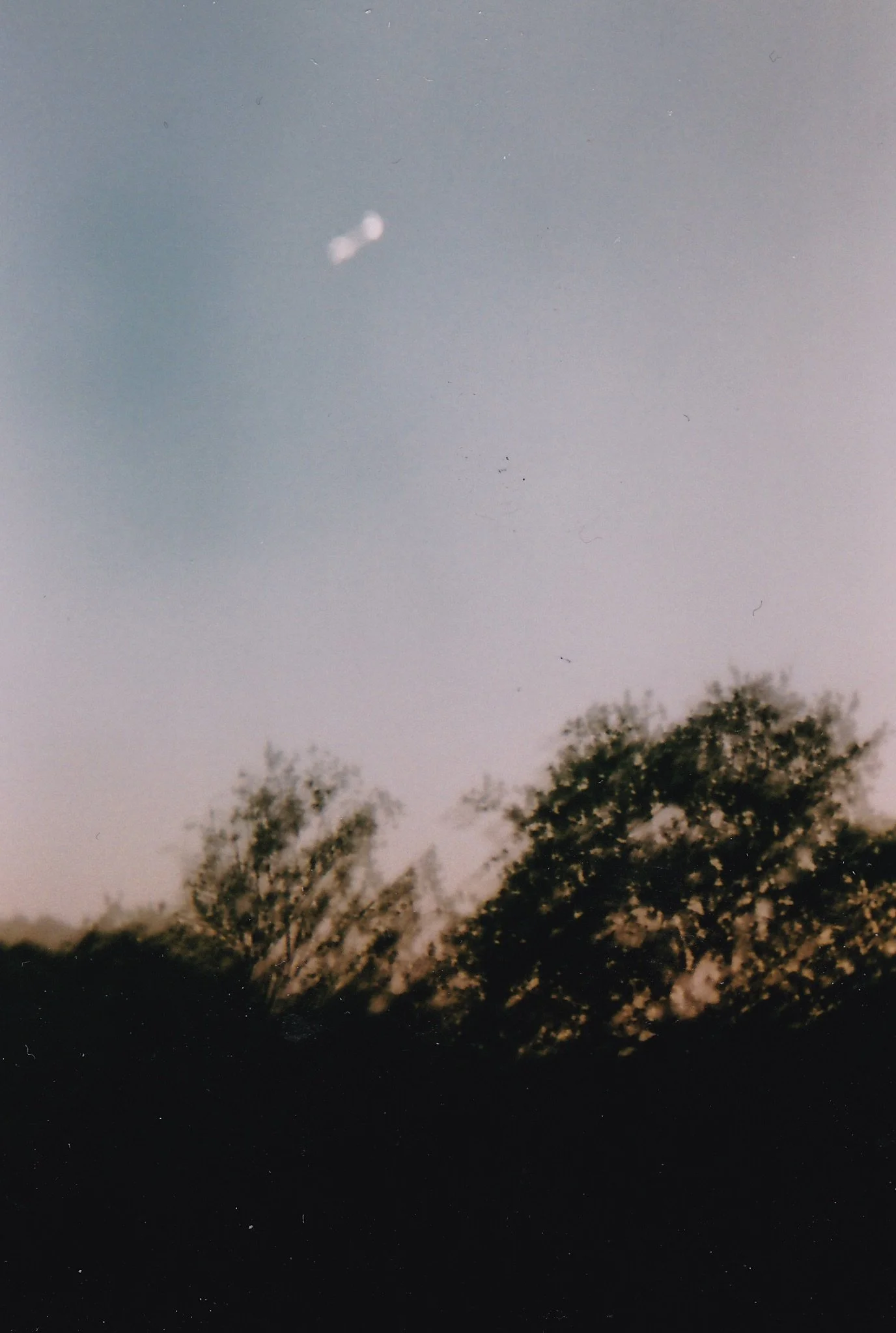 lune et arbres.jpg