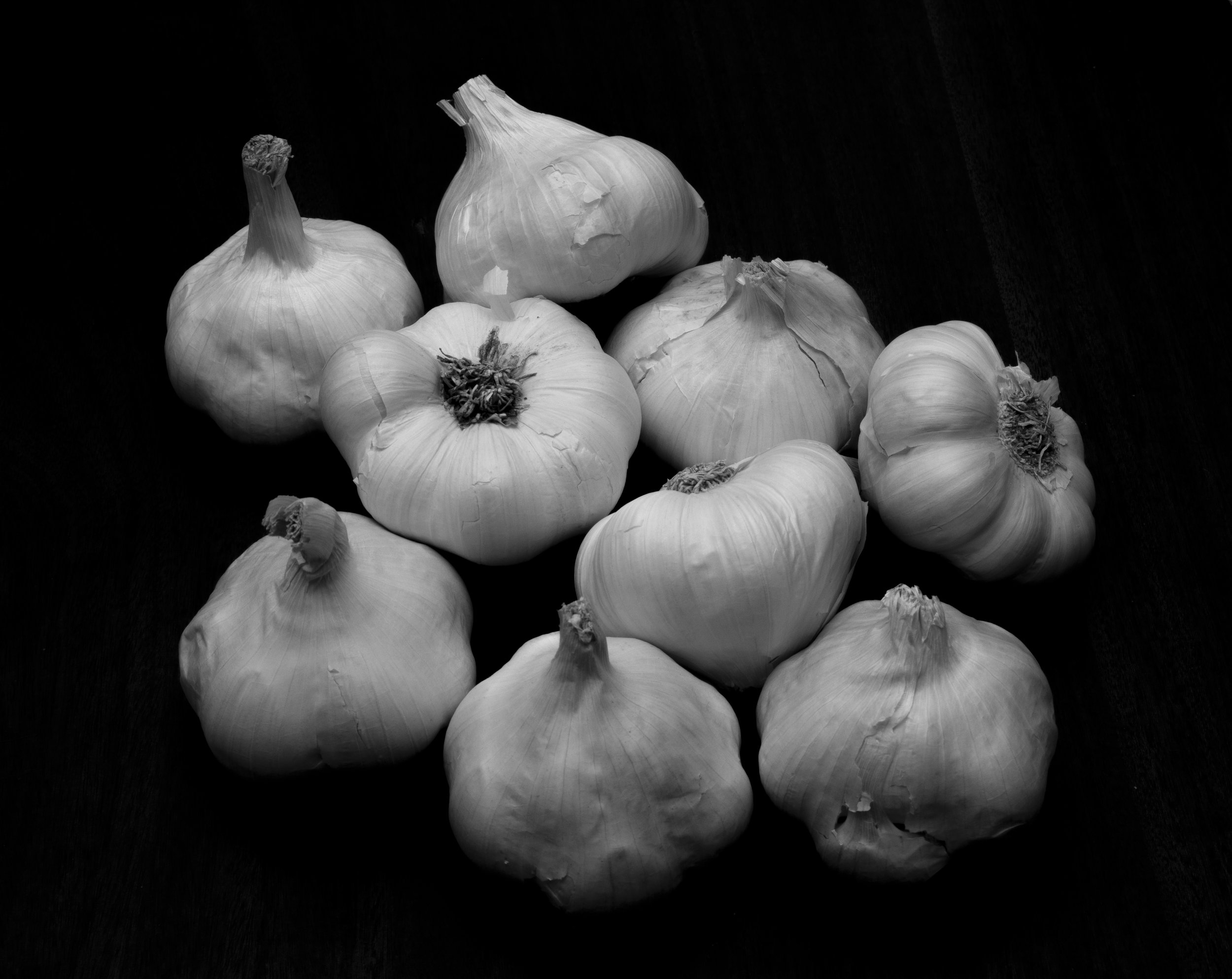 DSC_2821.jpg