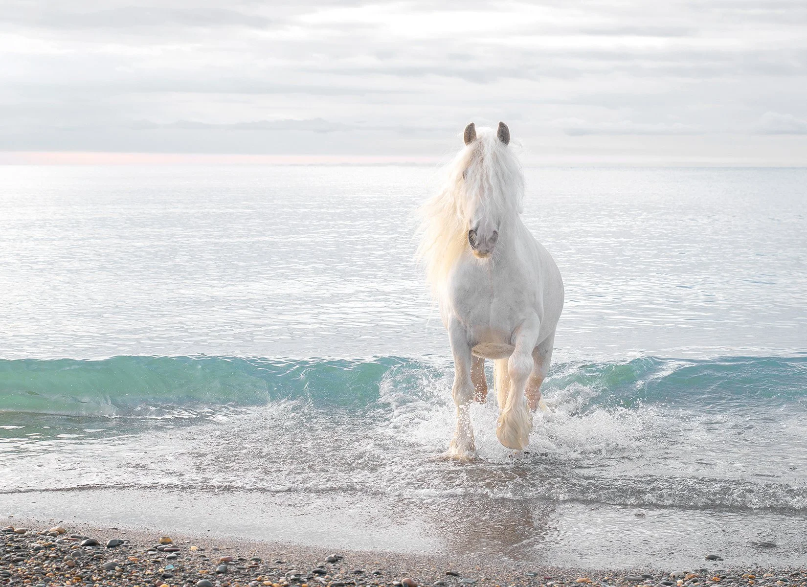 Tir Na Nog (Embar Returns)