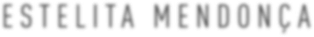 Close-up of black text spelling 'Fiesta Stella Medica' on a white background.