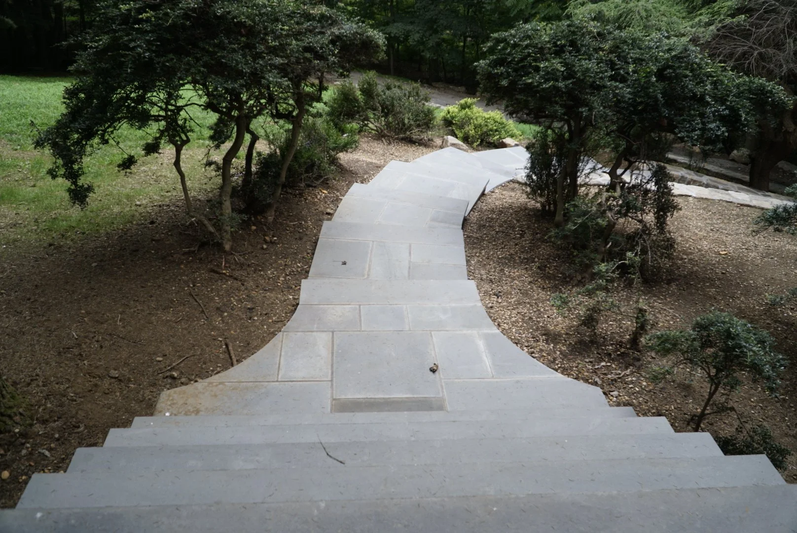 _DSC1162.jpeg