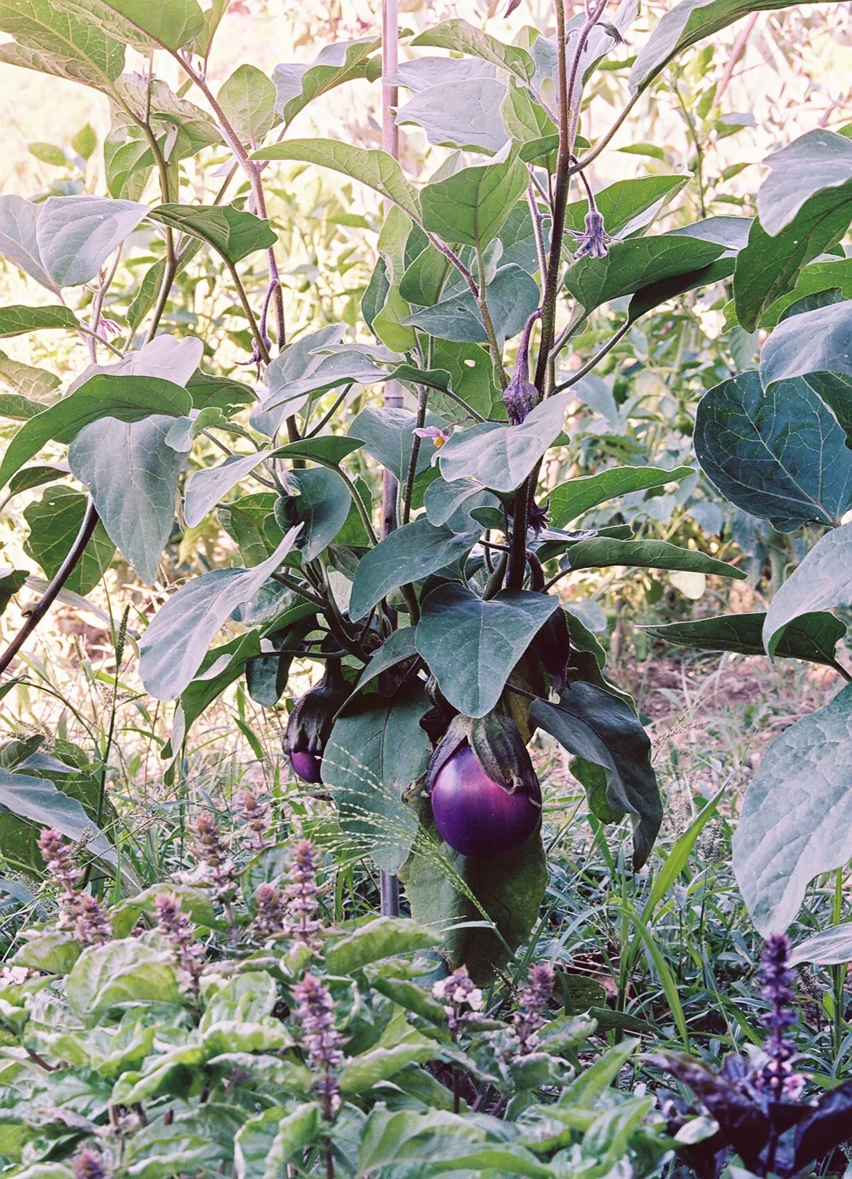 9902904-R01-003.Jpg