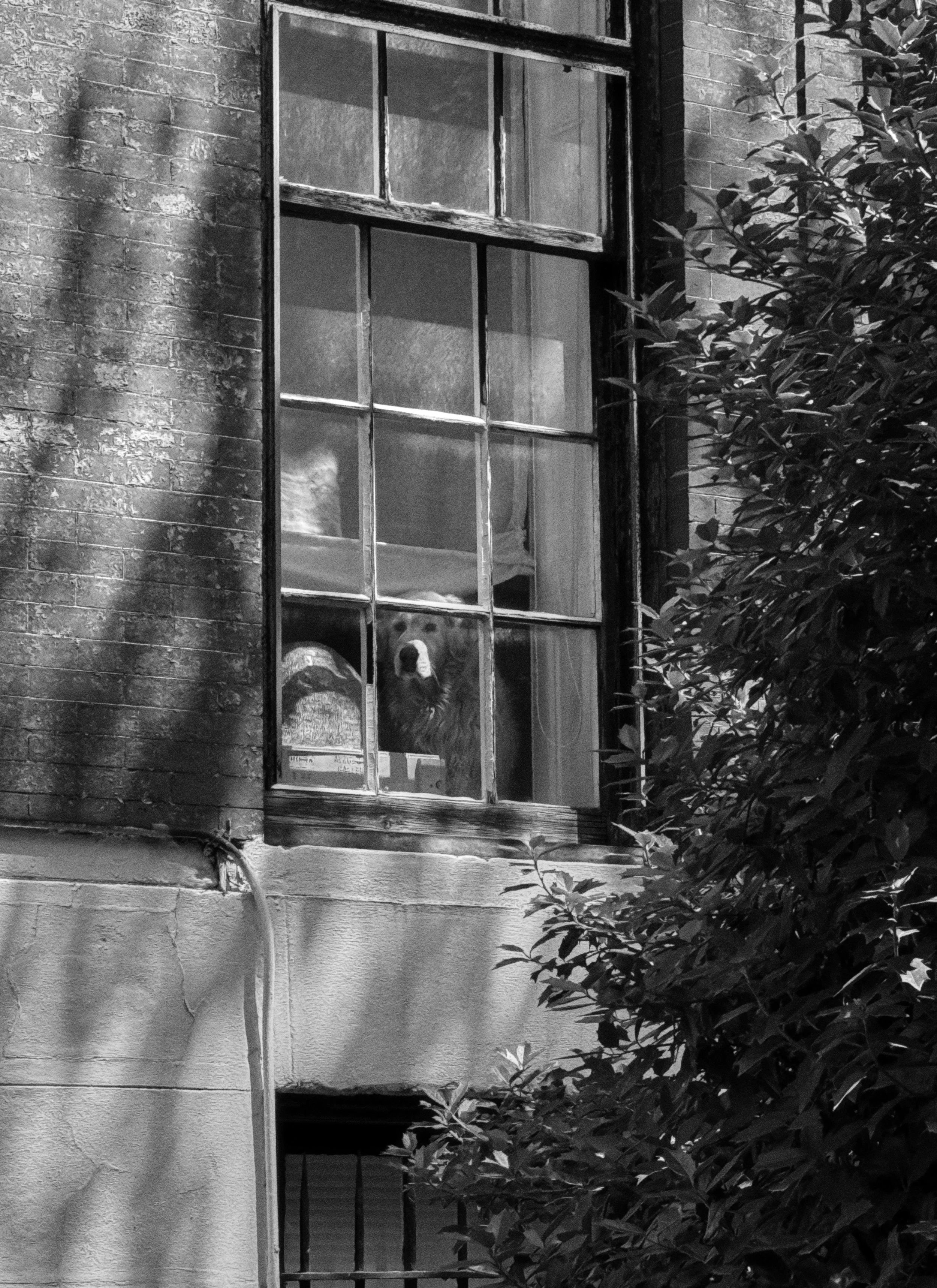13_DSC0808.jpg