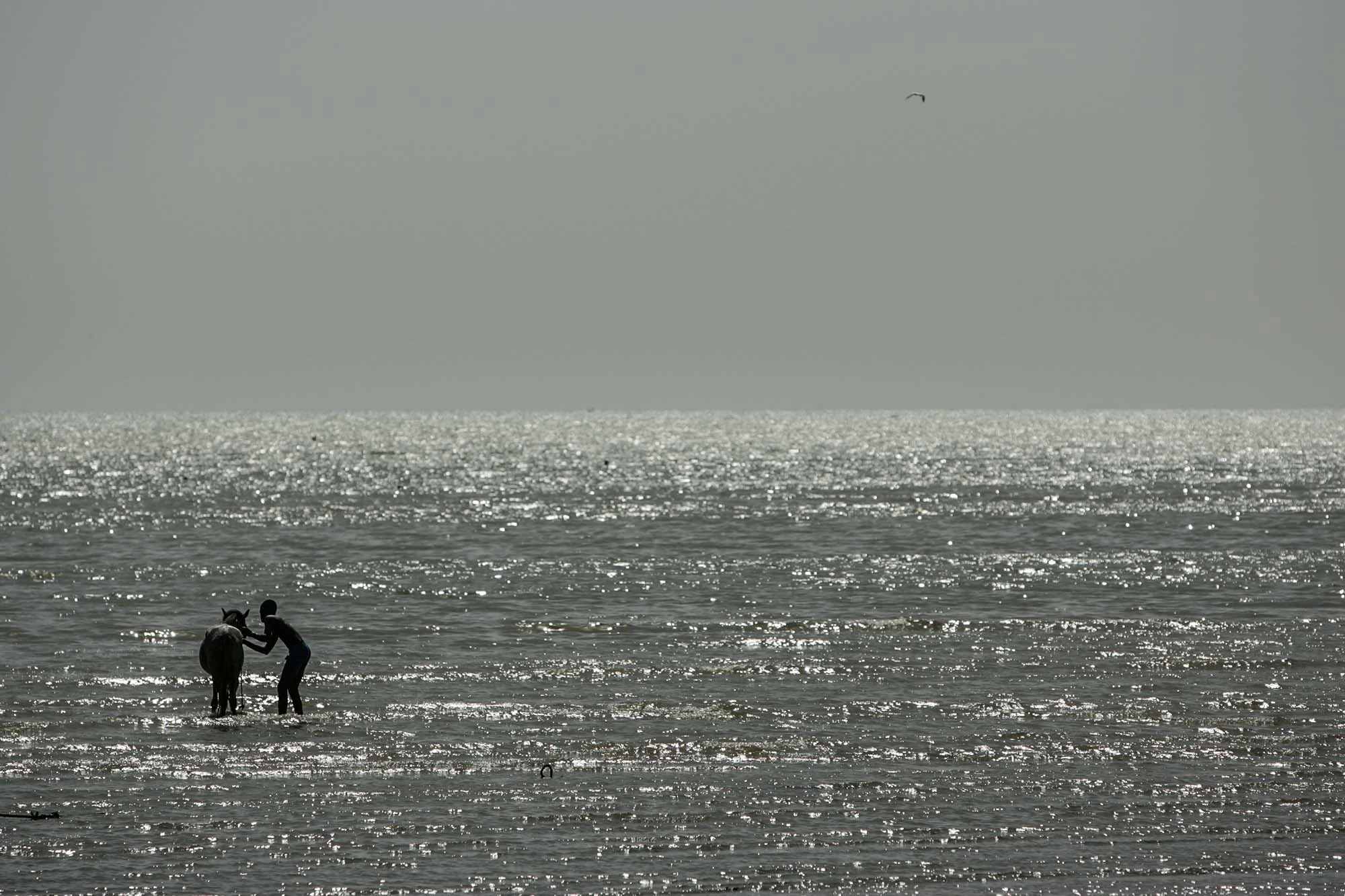 From a series documenting the fishing industry around Dakar in Senegal for a French insurance company.