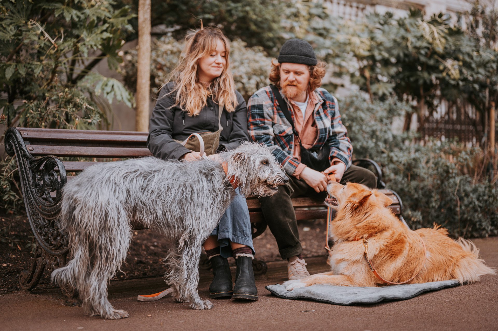 Puppy to Teenager: Why Early Training Matters for London Dogs