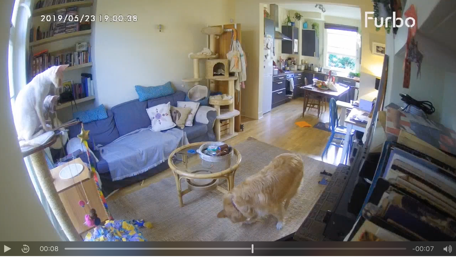 Byron investigating the treats!