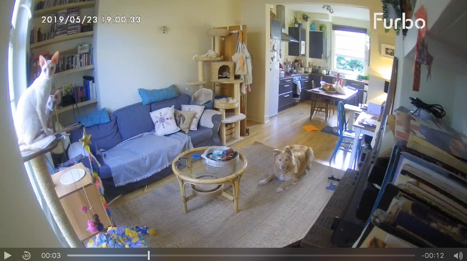 FURBO - your discount code 