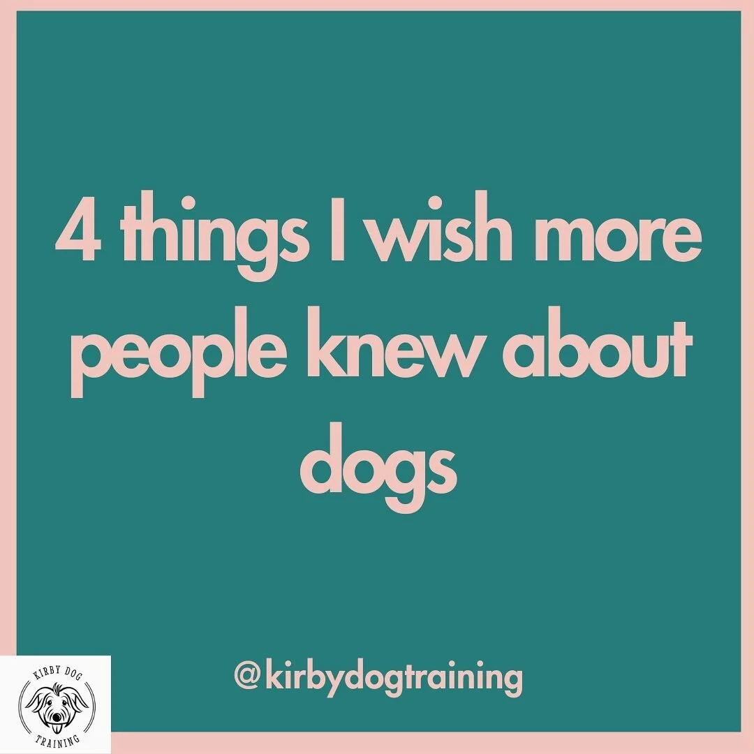 downloads-kirby-dog-training