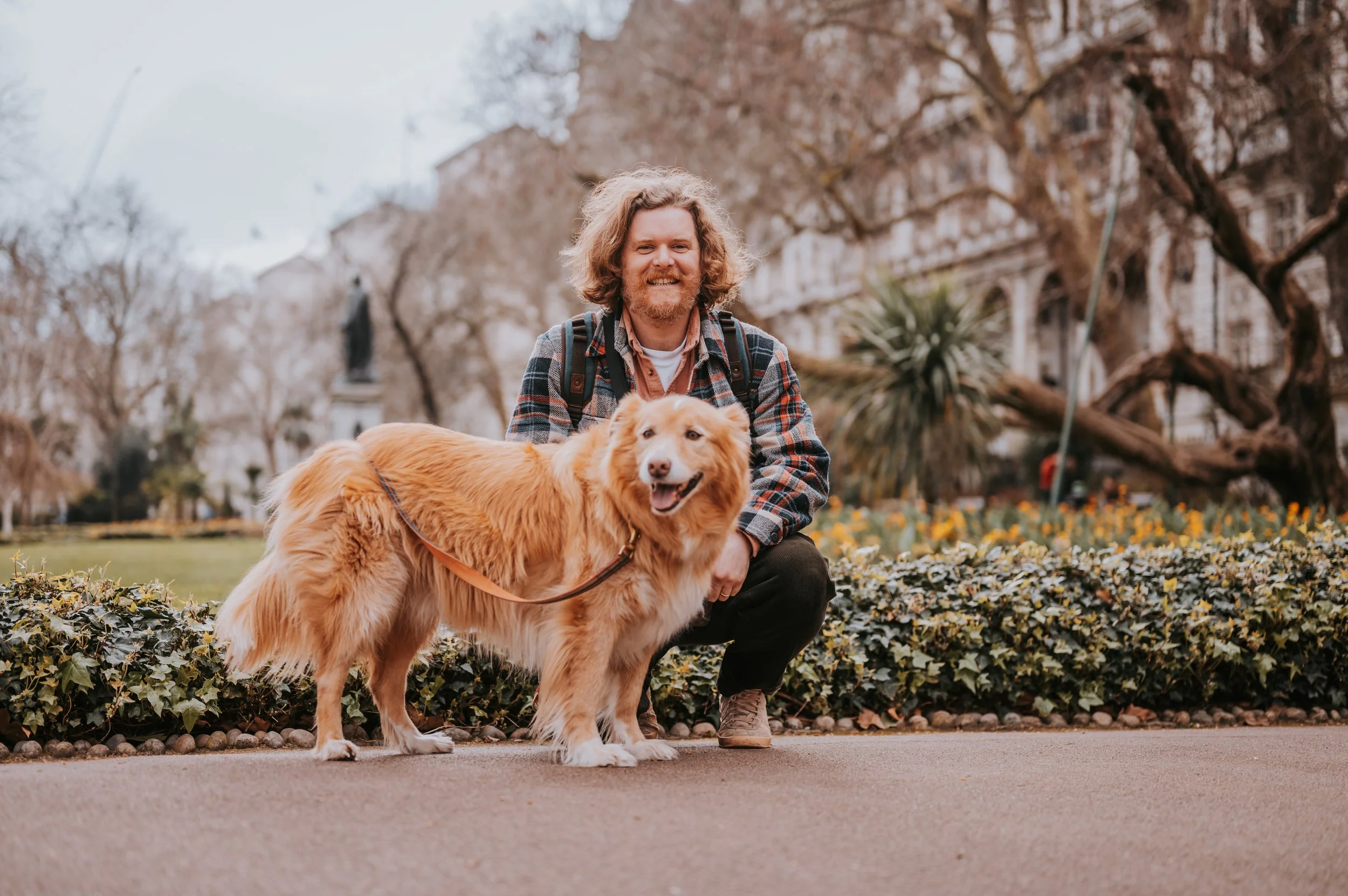 Puppy Training London: Everything You Need to Know | Kirby Dog Training