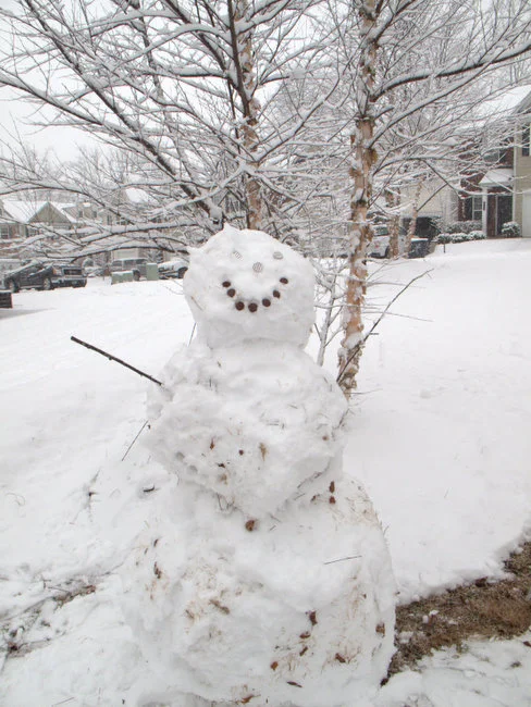 A snowman comes to Georgia