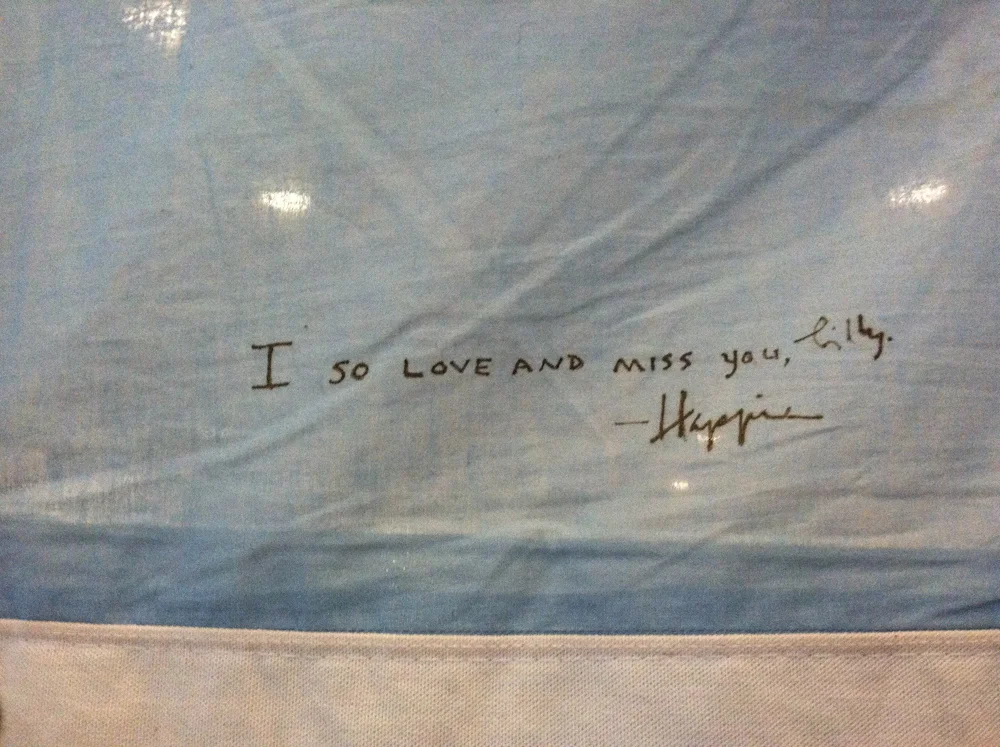 Touching the Quilt, learning its stories