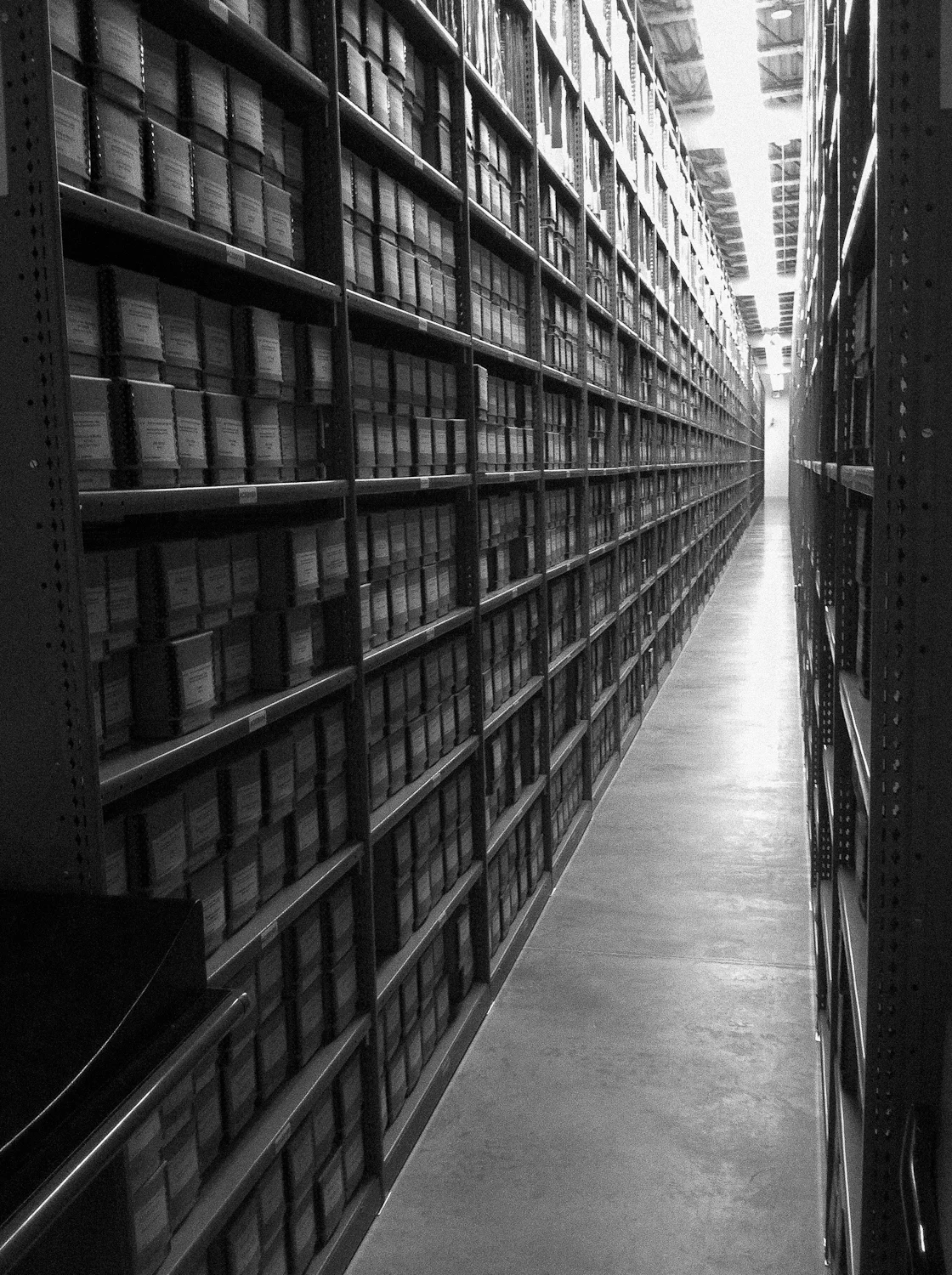 Georgia: A State's History in Peril